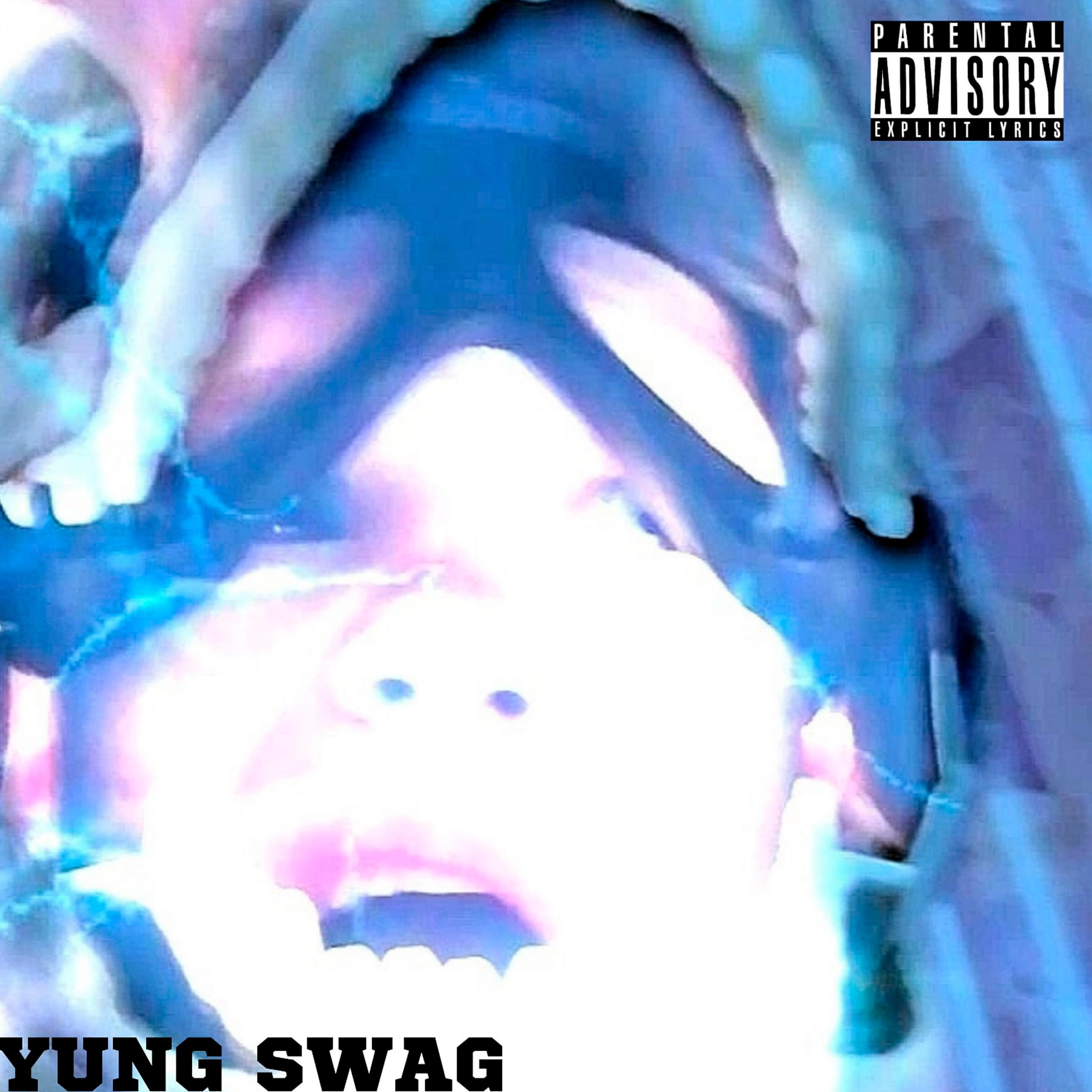 Постер альбома Yung Swag