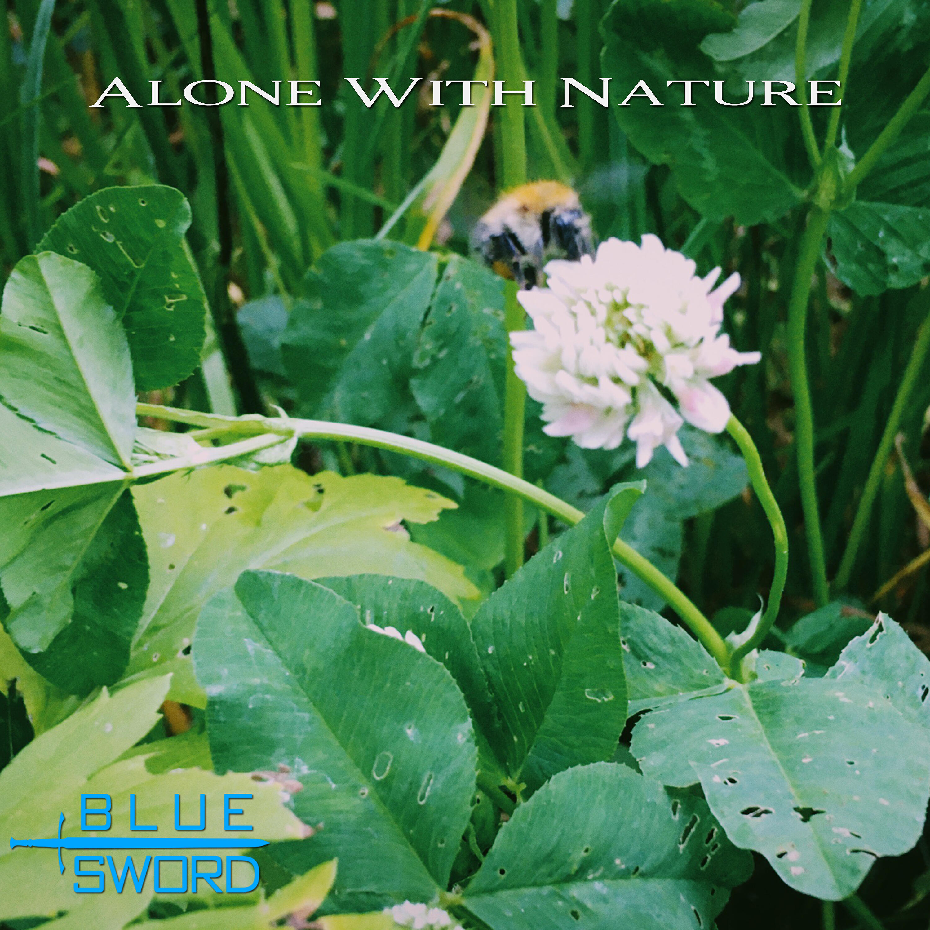 Blue Sword - Alone with Nature (No Drums Version)
