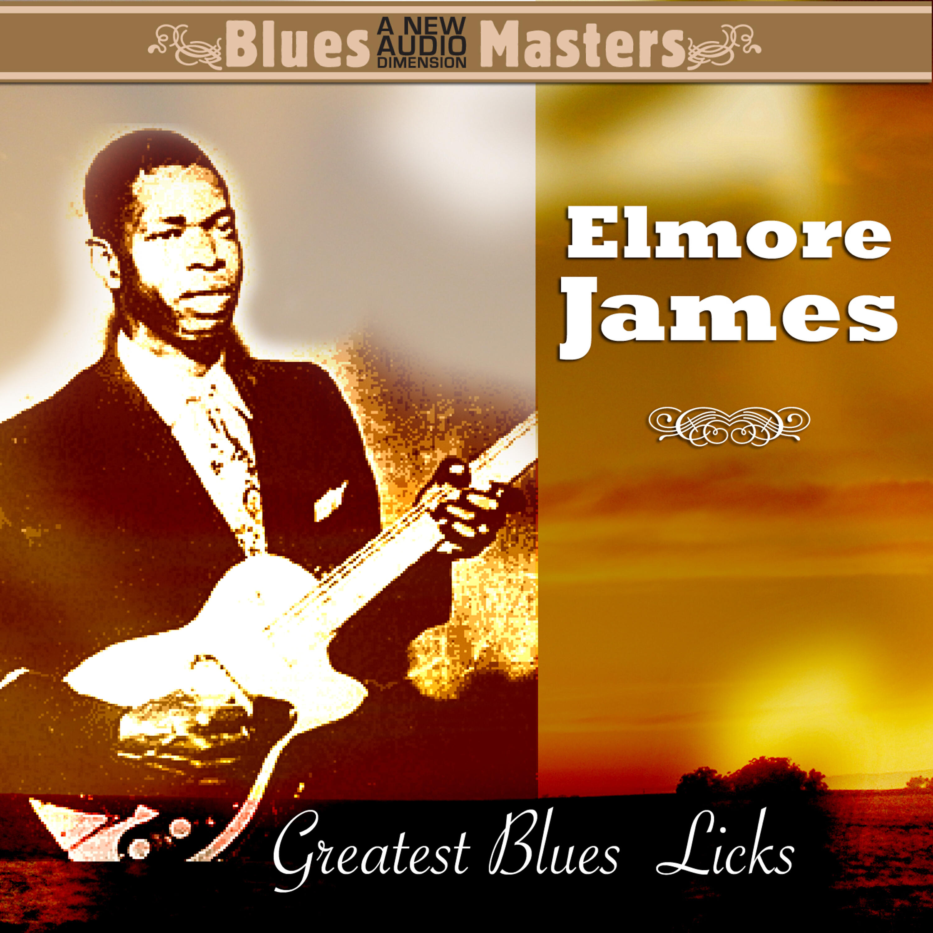 Elmore James - Country Boogie (Tool Bag Boogie)