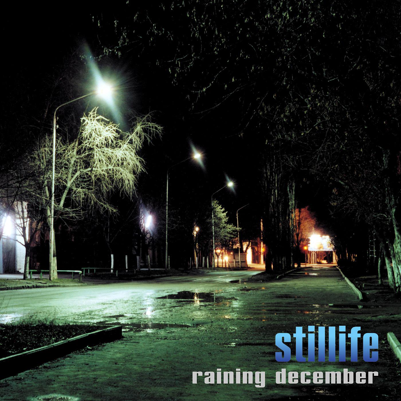Постер альбома Raining December