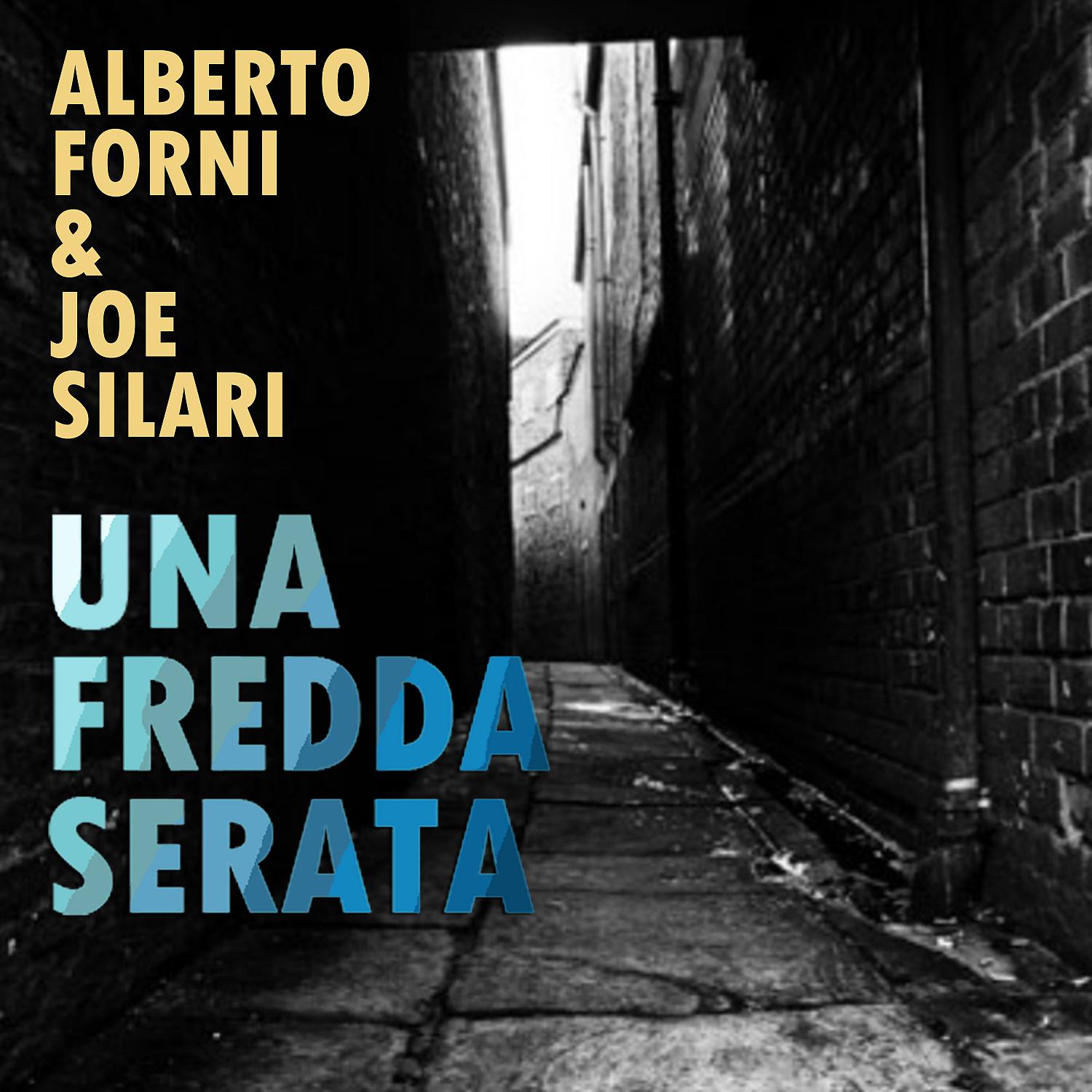 Постер альбома Una fredda serata (feat. Joe Silari)