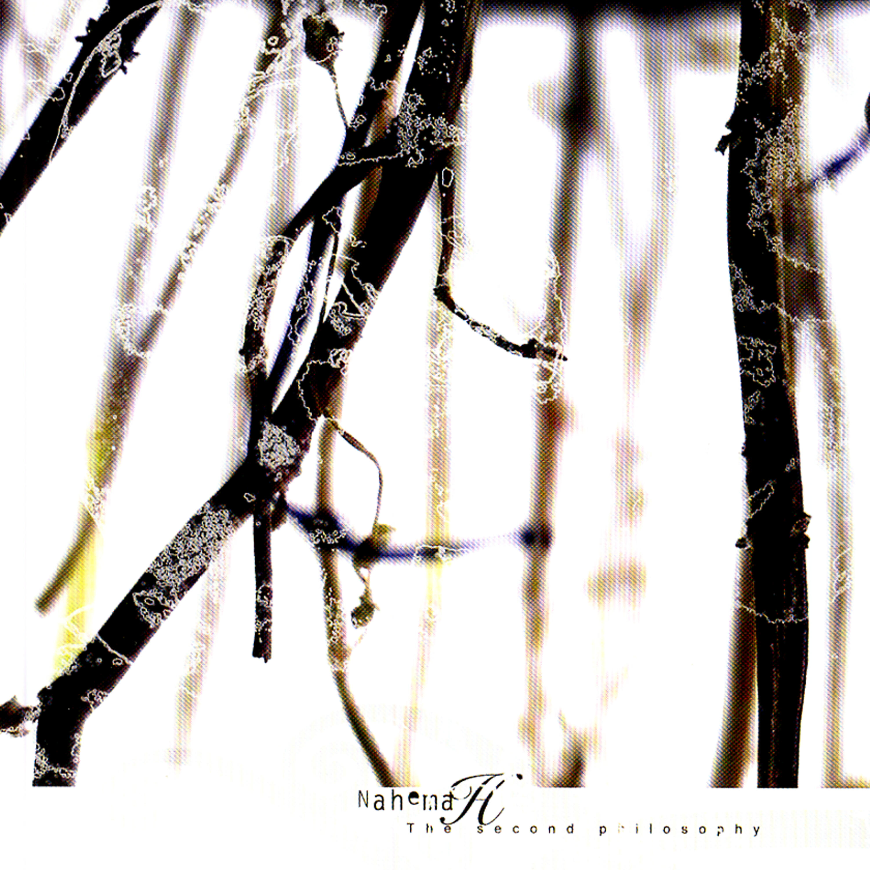 Nahemah - Like A Butterfly To The Storm