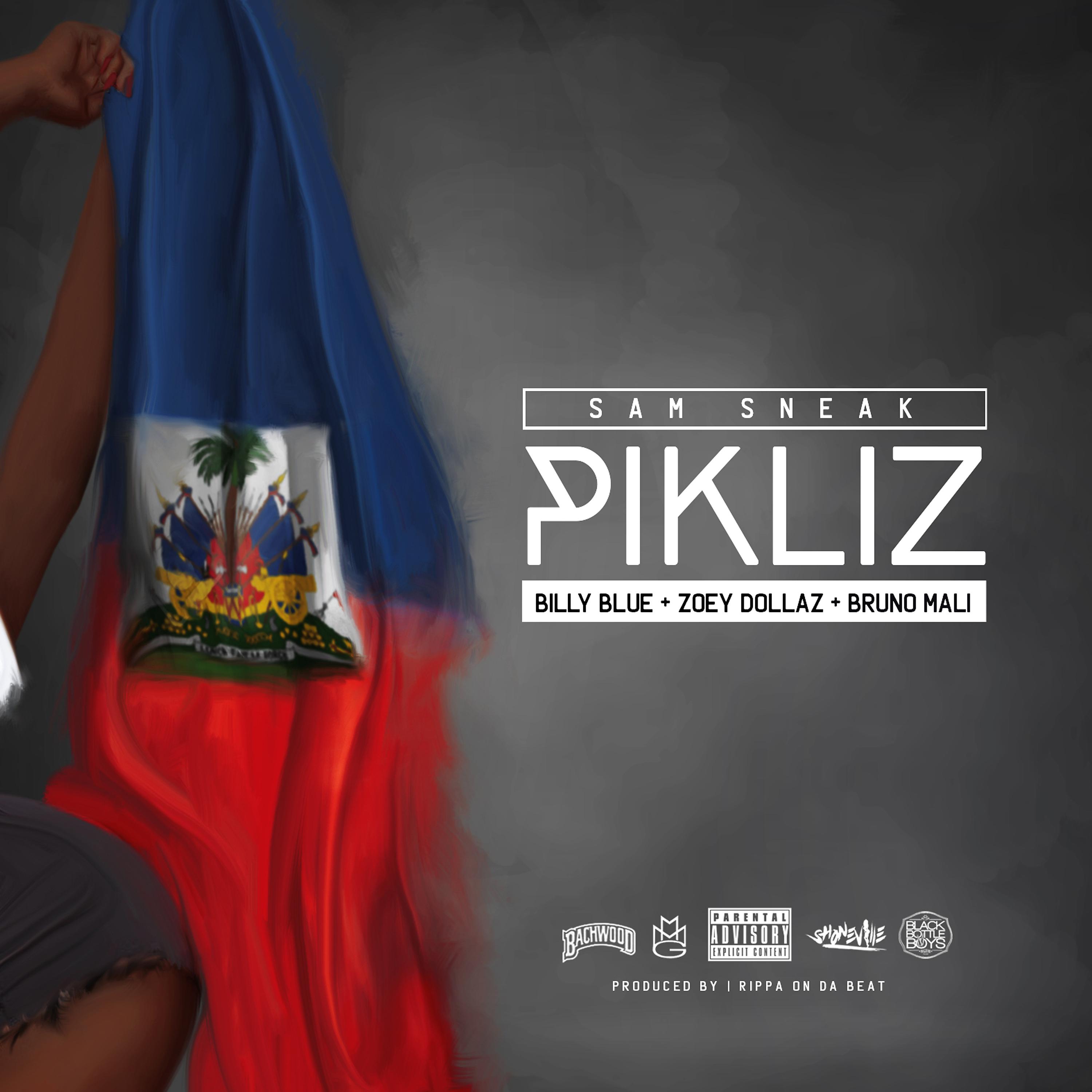 Постер альбома PIKLIZ (feat. Billy Blue, Zoey Dollaz & Bruno Mali)