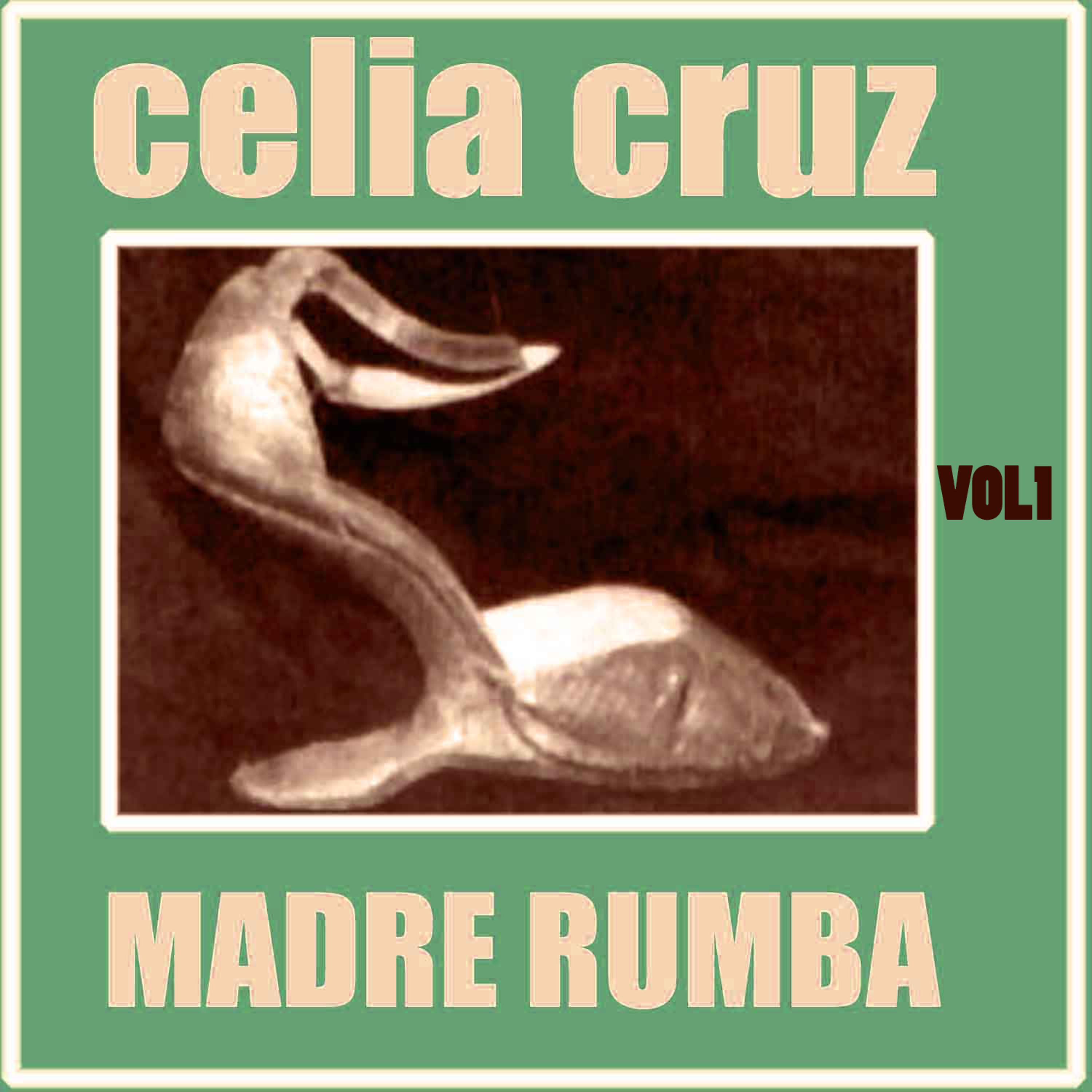 Постер альбома Madre Rumba Volumen 1