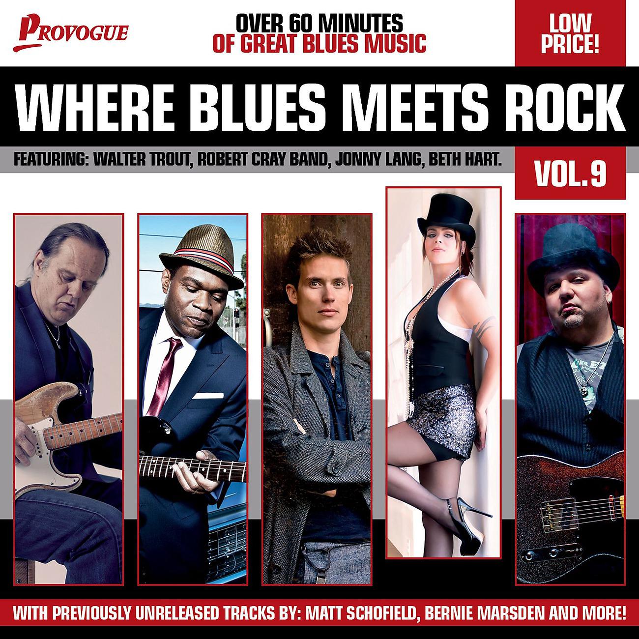 Постер альбома Where Blues Meets Rock Vol. 9