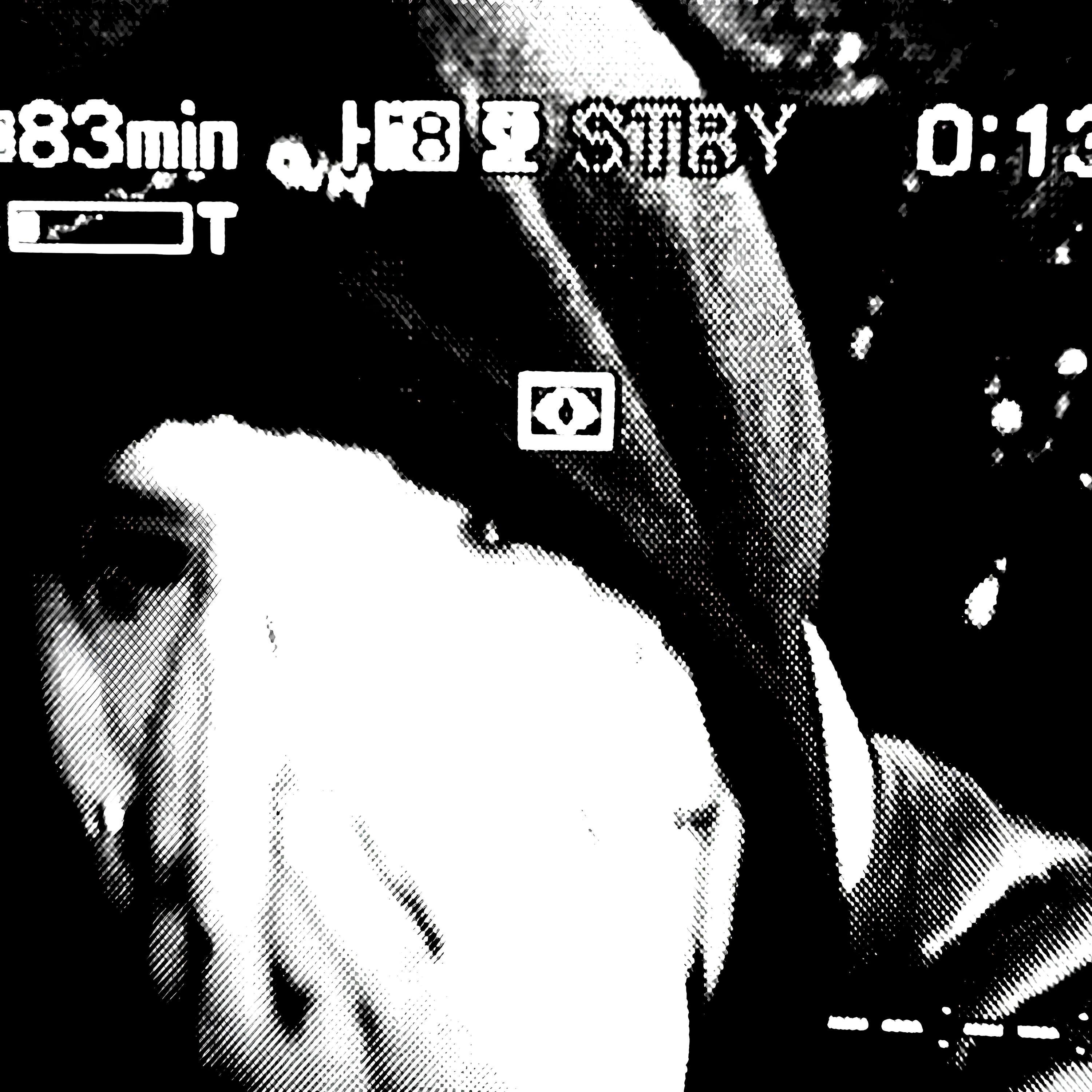 DSPRITE все песни в mp3