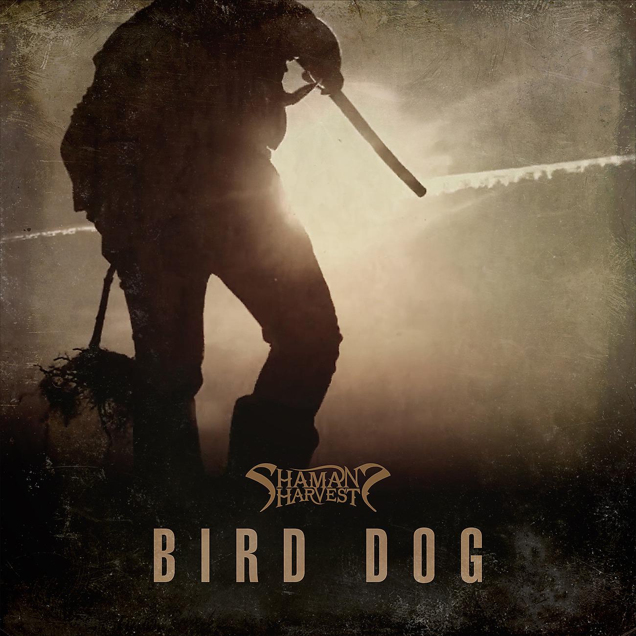 Постер альбома Bird Dog
