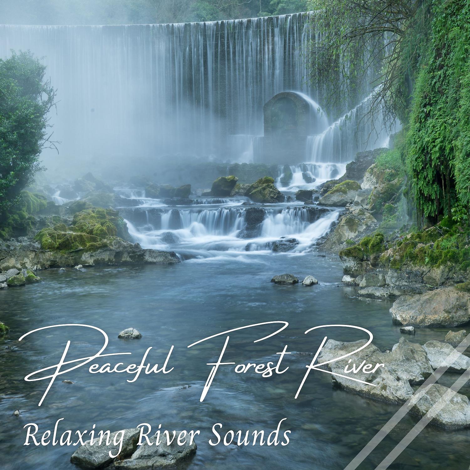 Постер альбома Relaxing River Sounds: Peaceful Forest River - 1 Hour