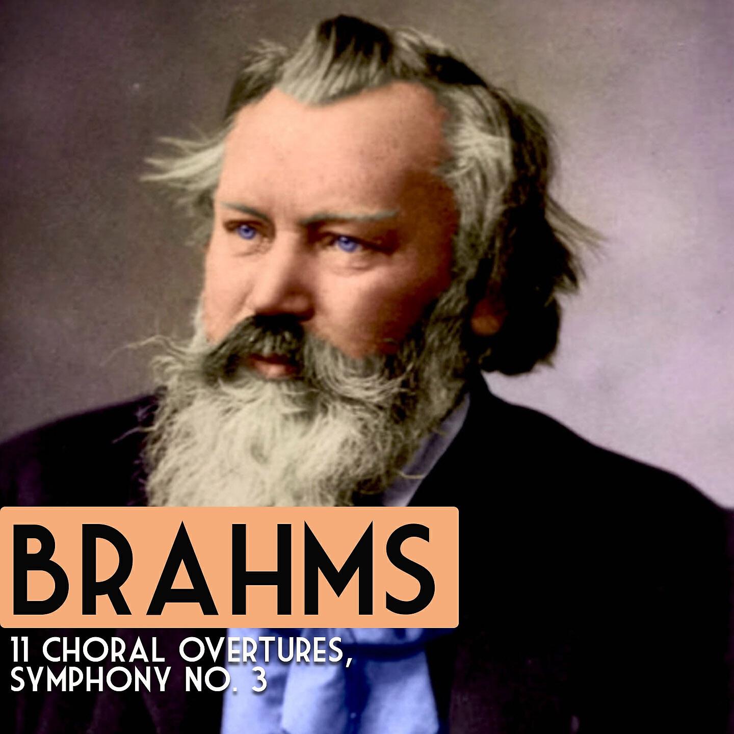 Slovak Philharmonic Orchestra - 11 Chorale Preludes, Op. 122: VIII. Es ist ein Ros' entsprungen