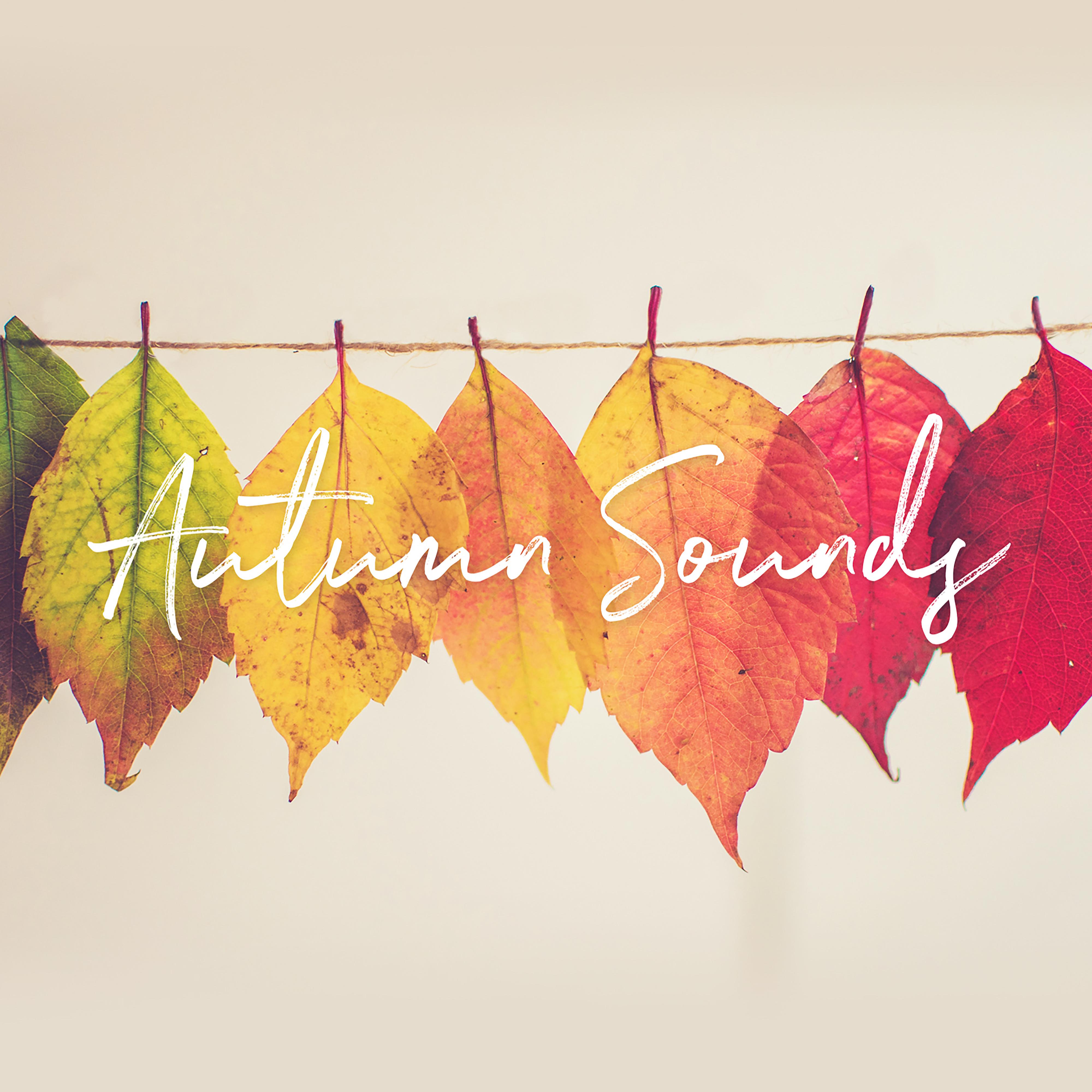 Постер альбома Autumn Sounds