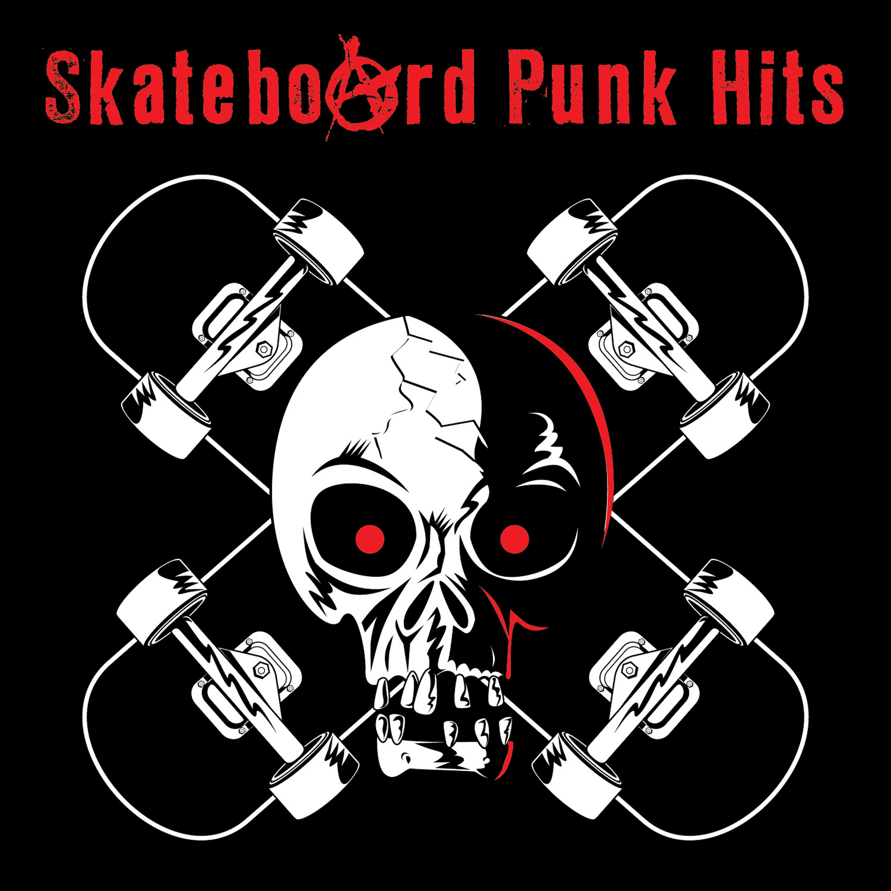 Постер альбома Skateboard Punk Hits