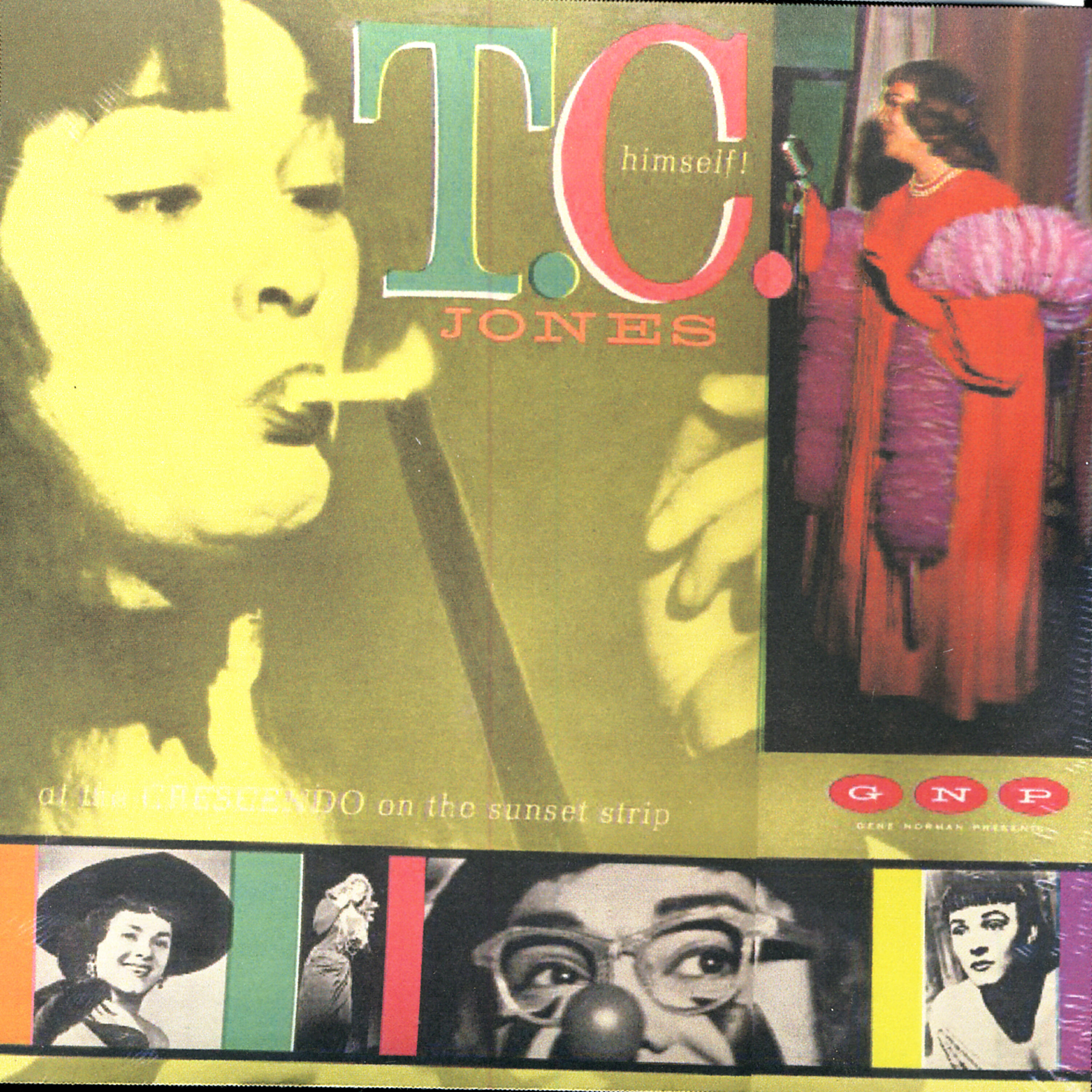 T.C. Jones - Tallulah Bankhead - I'll Be Seeing You