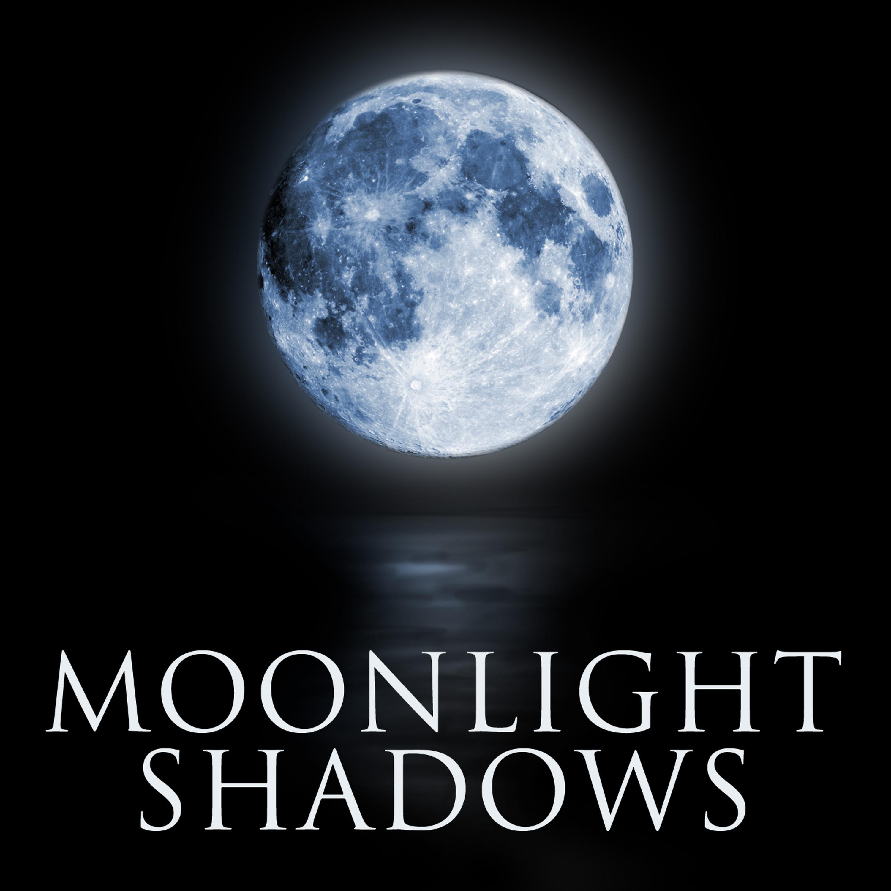Постер альбома Moonlight Shadows