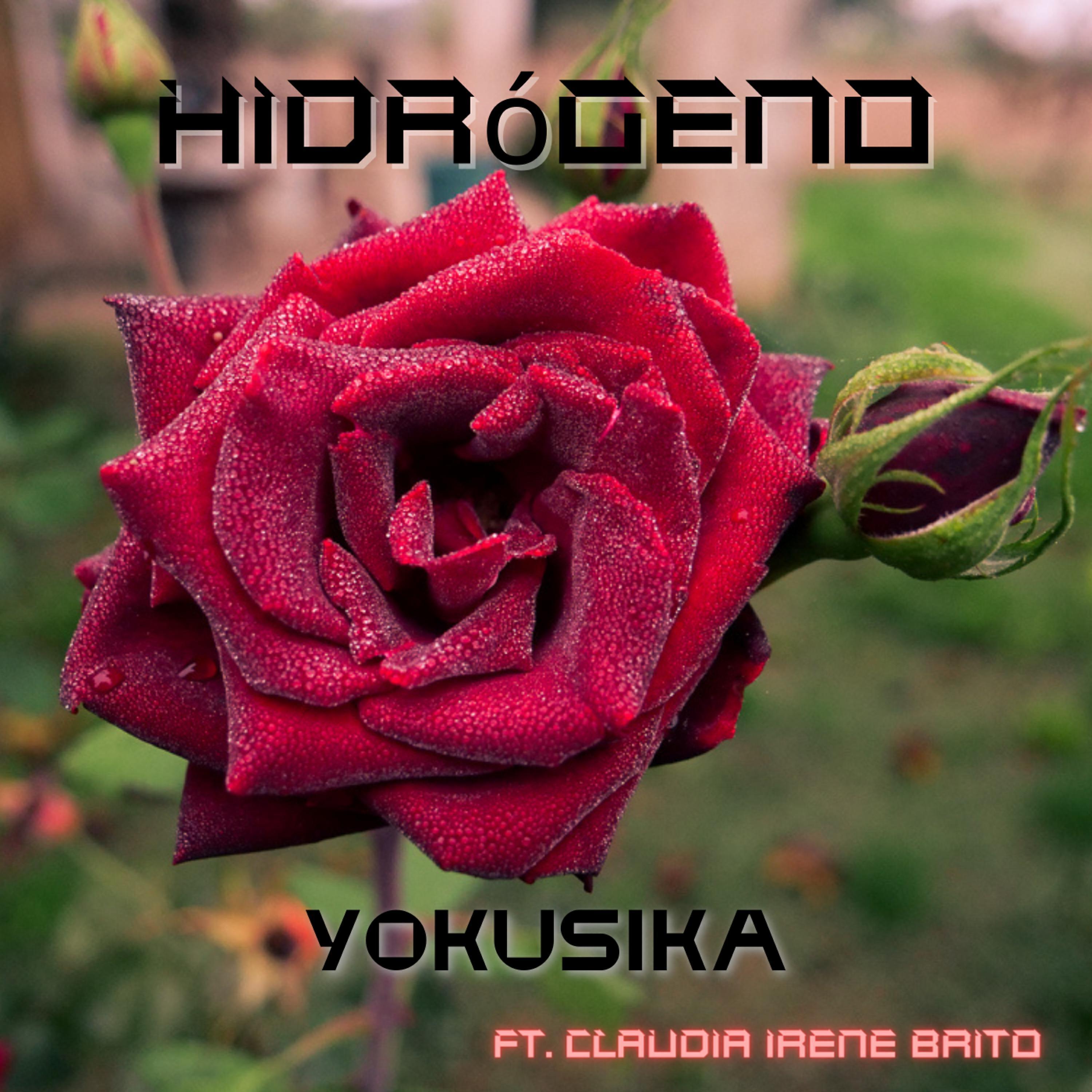 Yokusika все песни в mp3