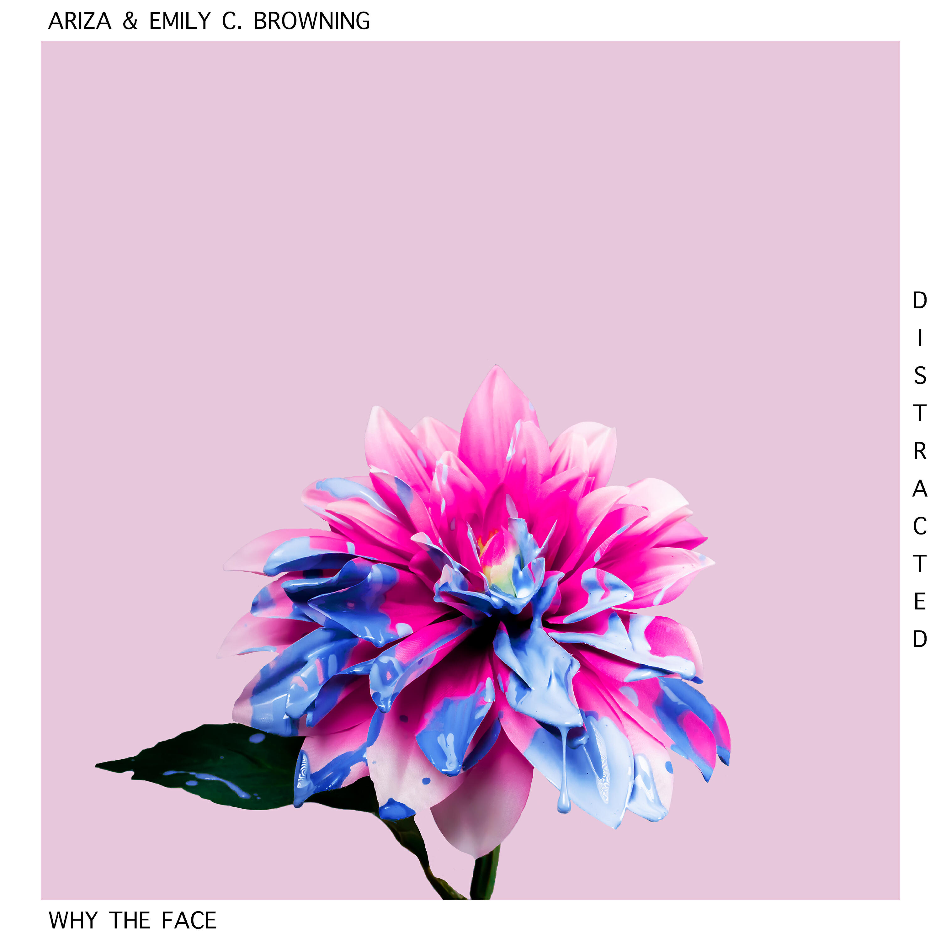 Ariza - Distracted