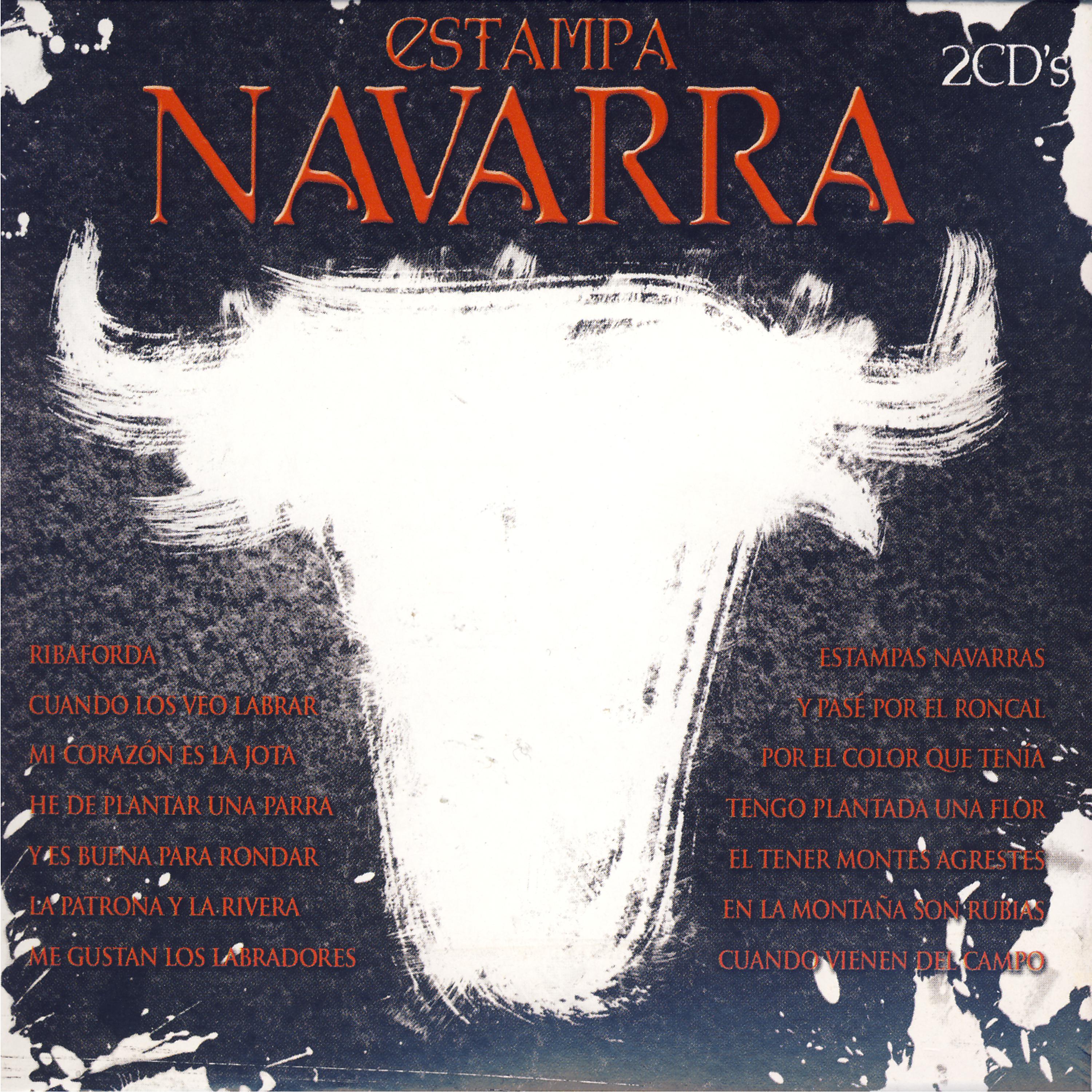 Постер альбома Estampa Navarra