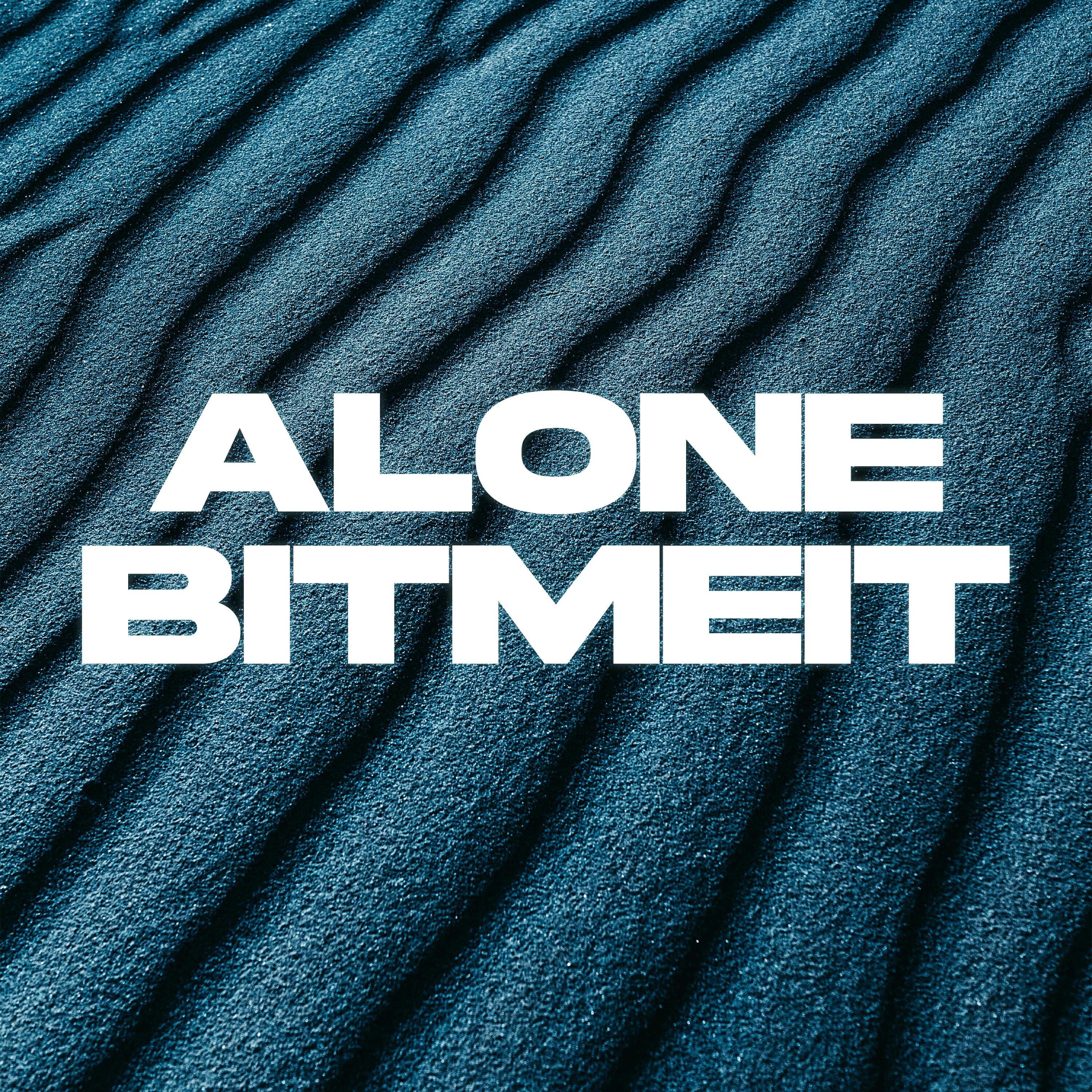 BITMEIT все песни в mp3