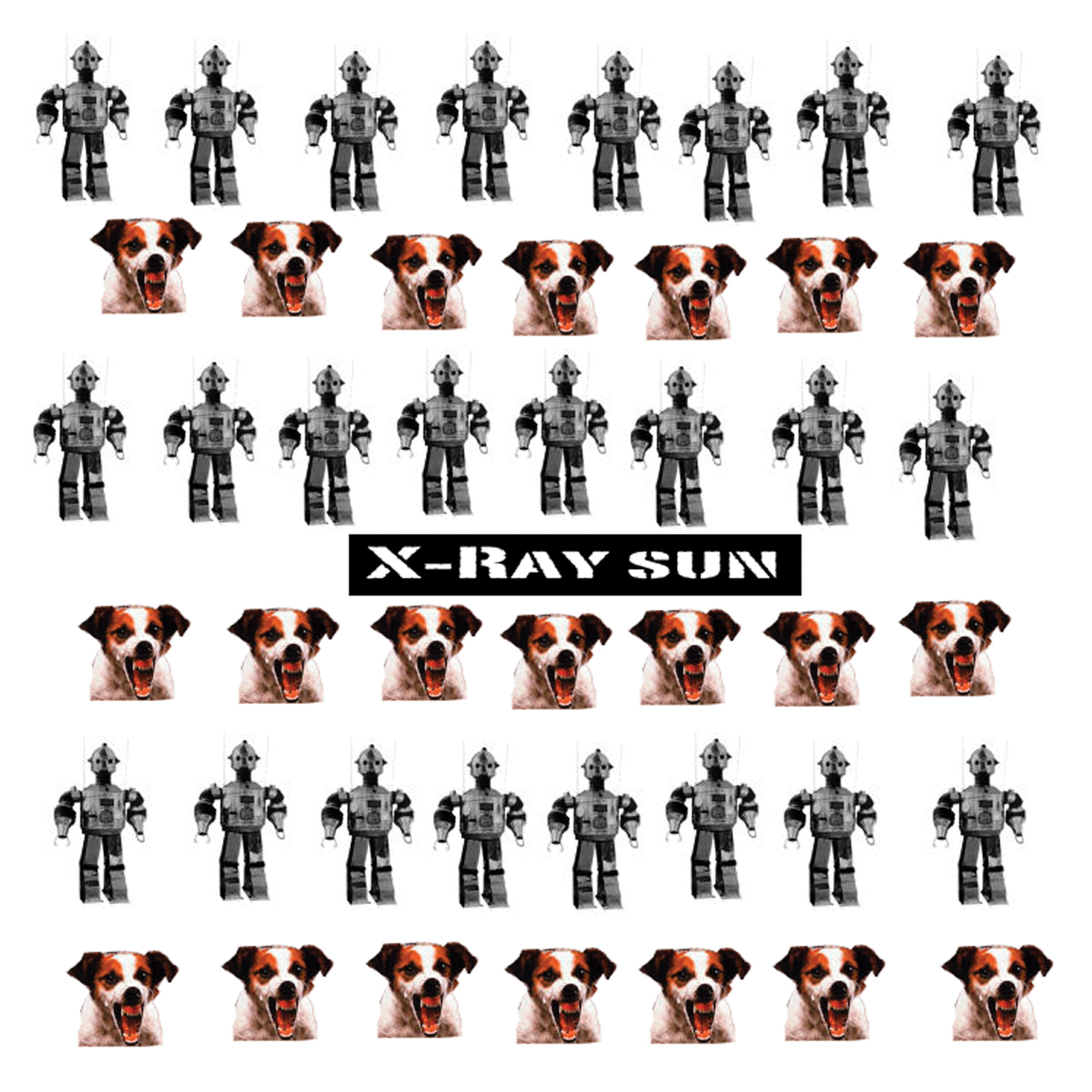 X-RAY SUN - New Punk Animal (Original)