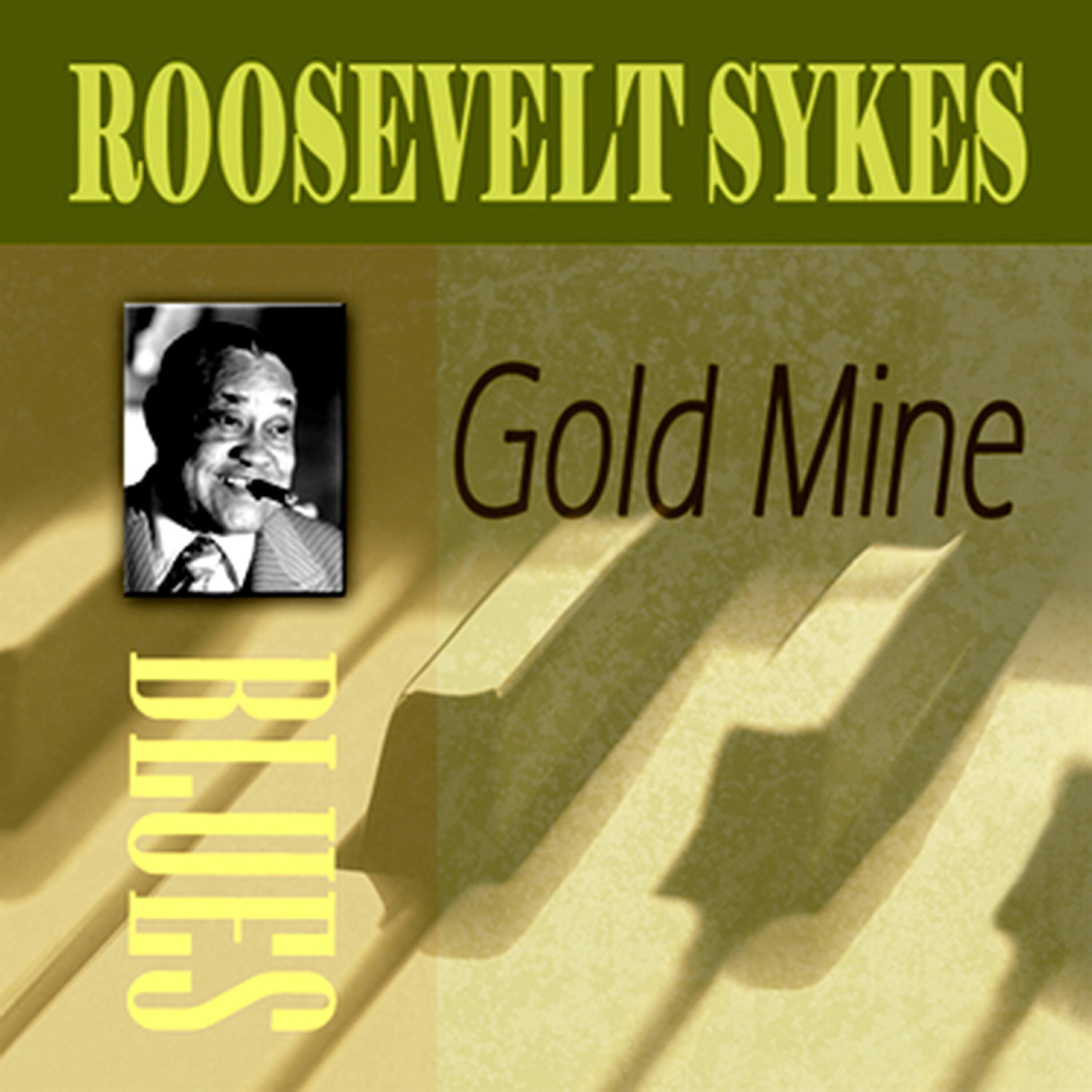 Roosevelt Sykes - Jet Black Snake