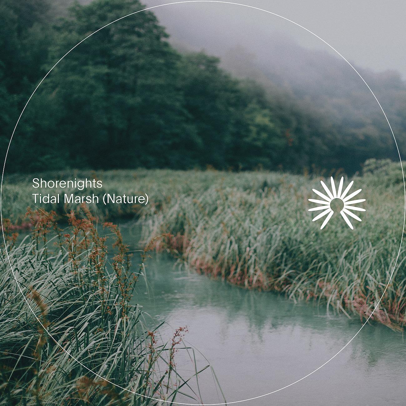 Постер альбома Tidal Marsh (Nature)