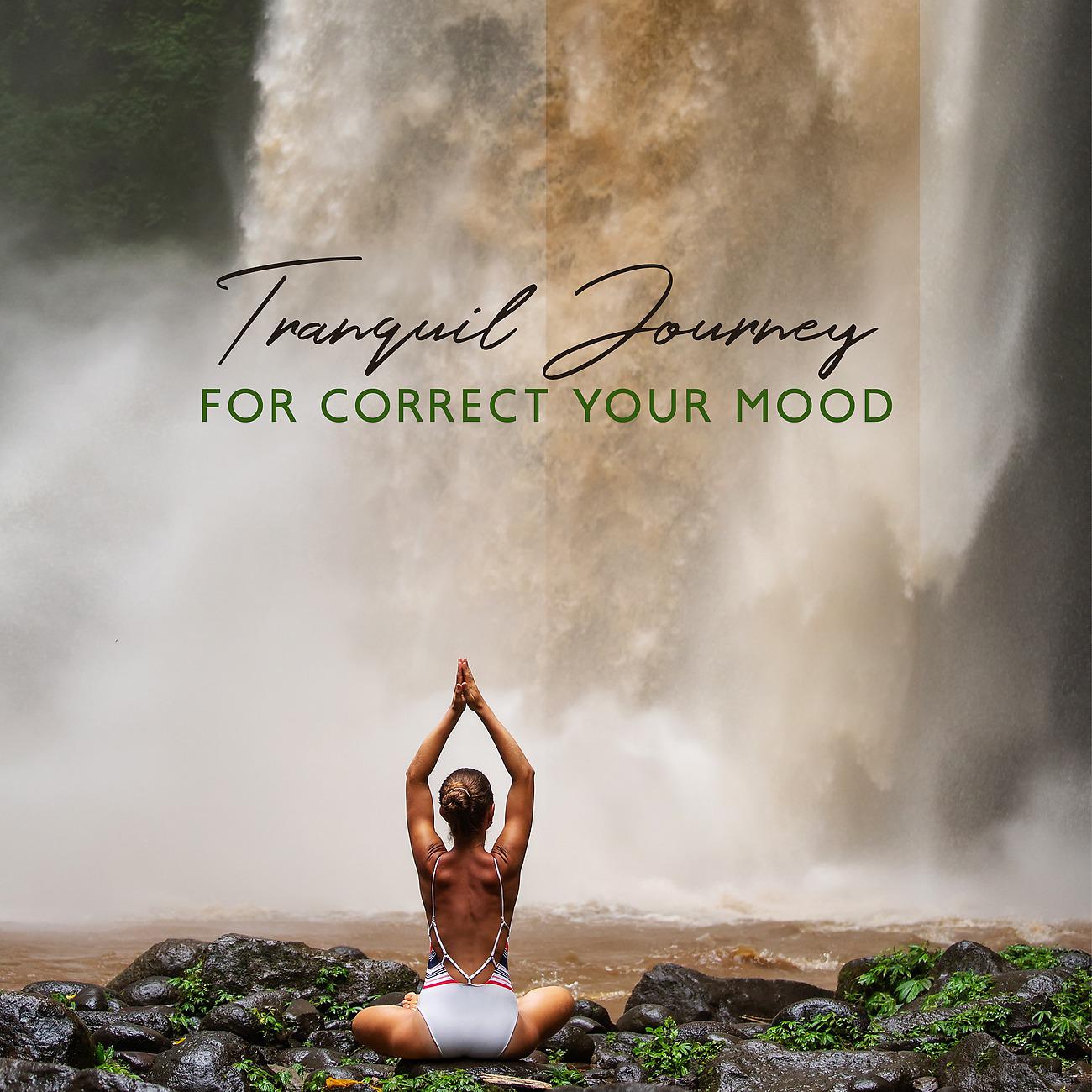Постер альбома Tranquil Journey for Correct Your Mood