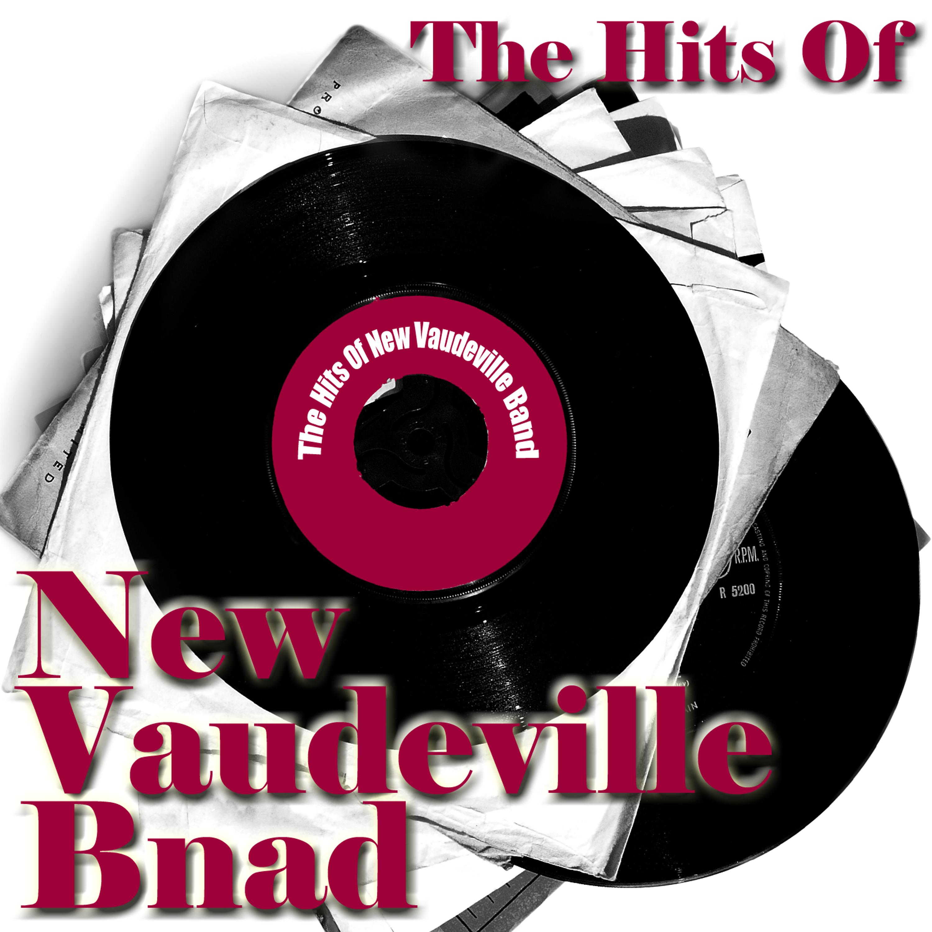 Постер альбома The Hits Of New Vaudeville Band