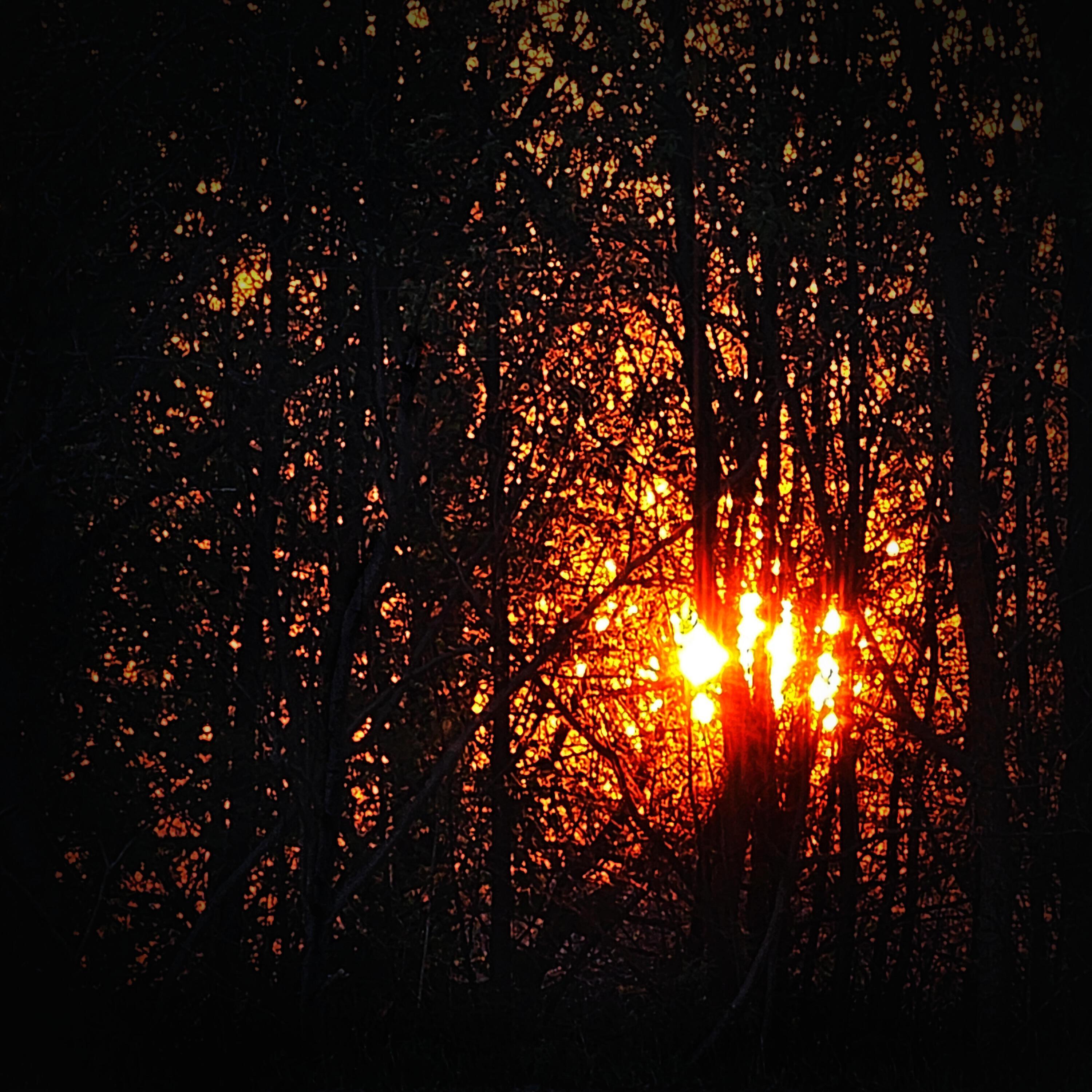 Зилков ае все песни в mp3