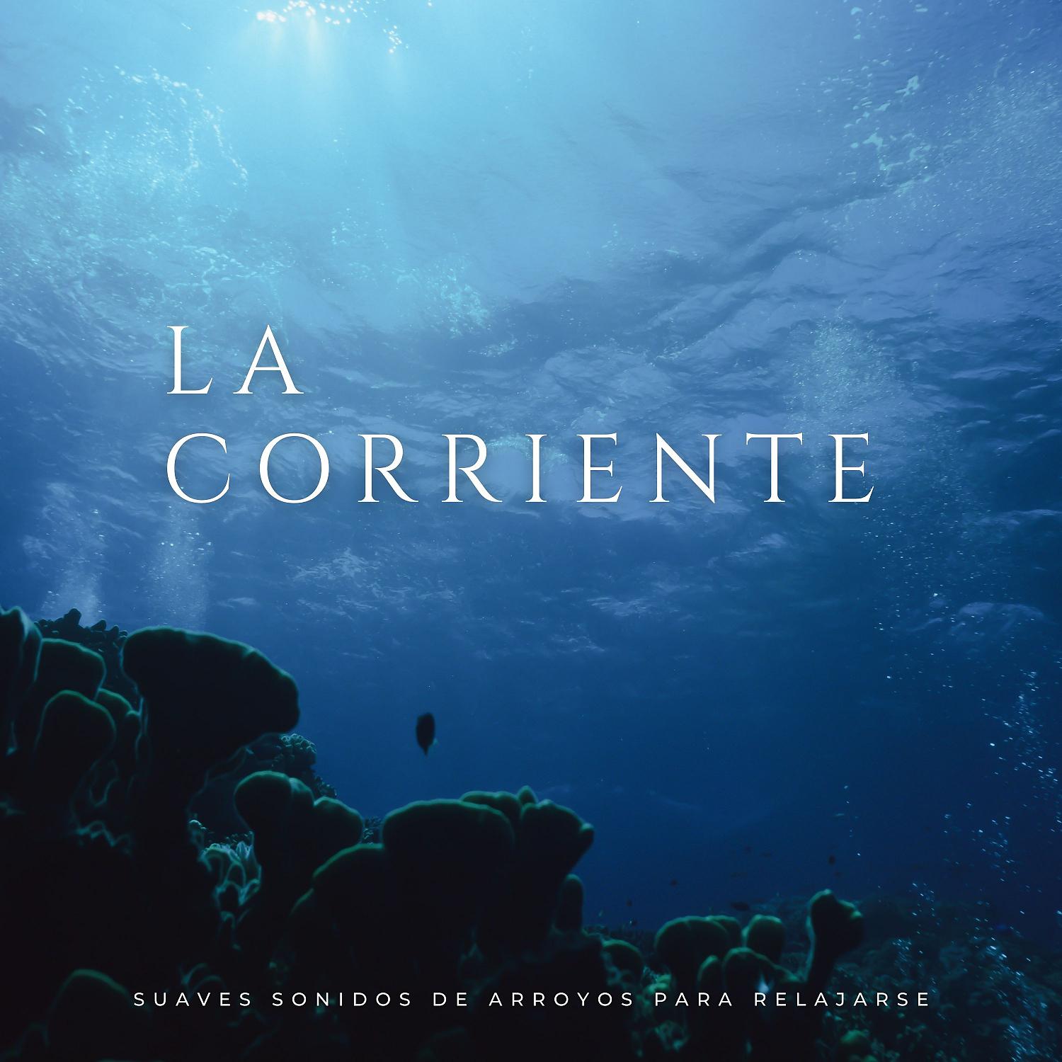 Постер альбома La Corriente: Suaves Sonidos De Arroyos Para Relajarse