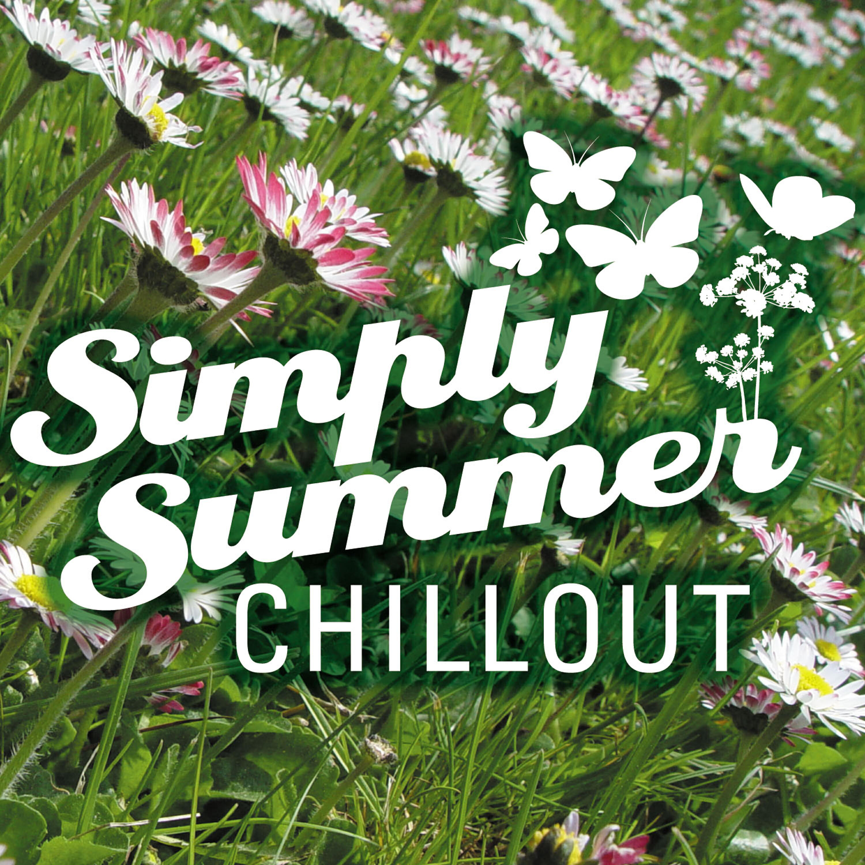 Summer Chillout Band - Primrose Hill