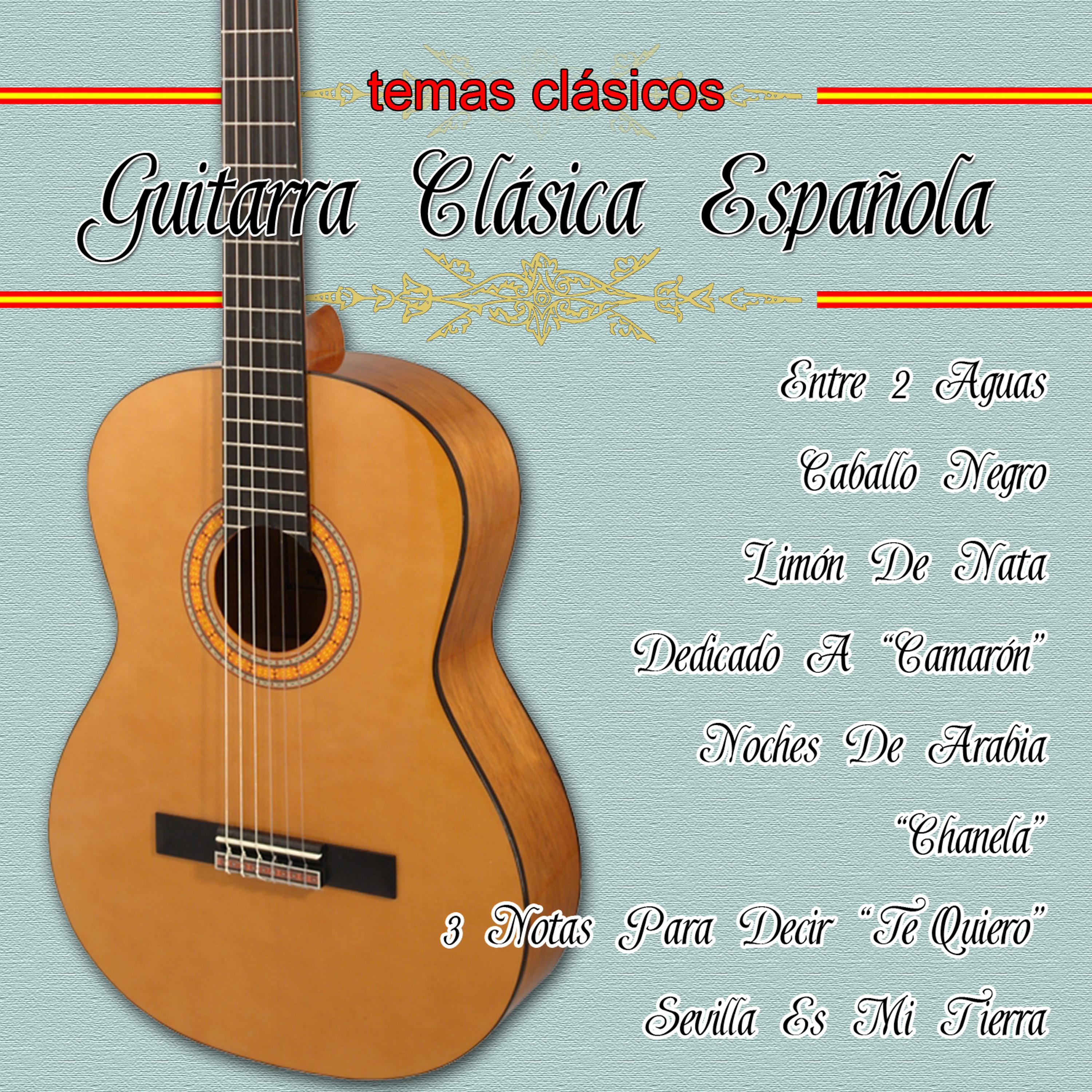 Постер альбома Guitarra Española Clásica