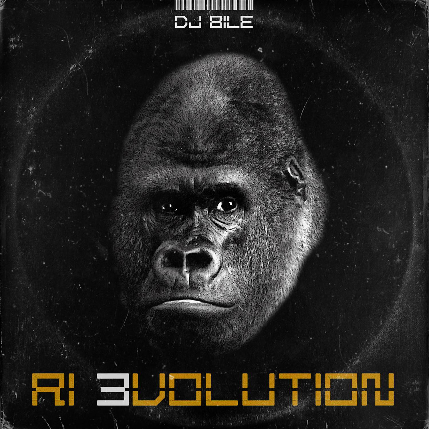 Постер альбома RI EVOLUTION