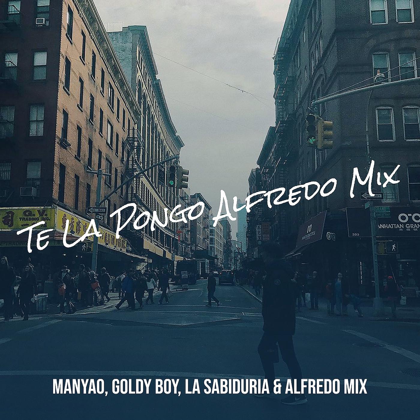 Постер альбома Te La Pongo (2021 Alfredo Mix)
