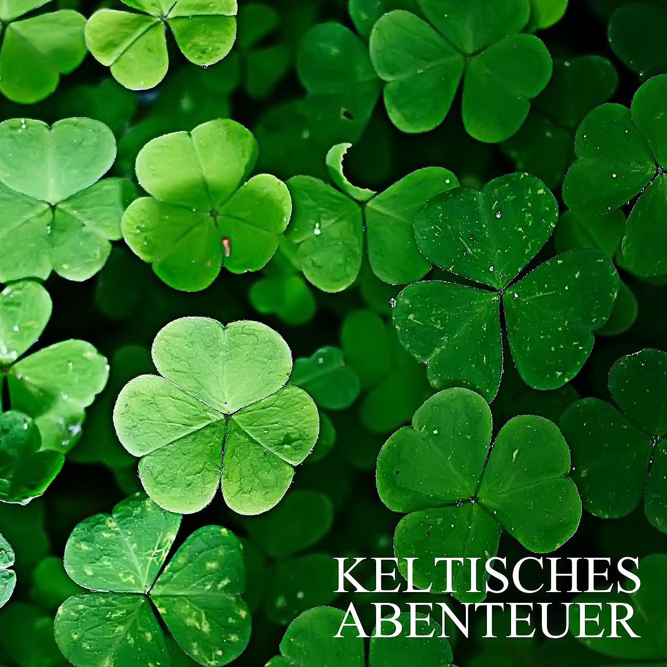 Постер альбома Keltisches Abenteuer