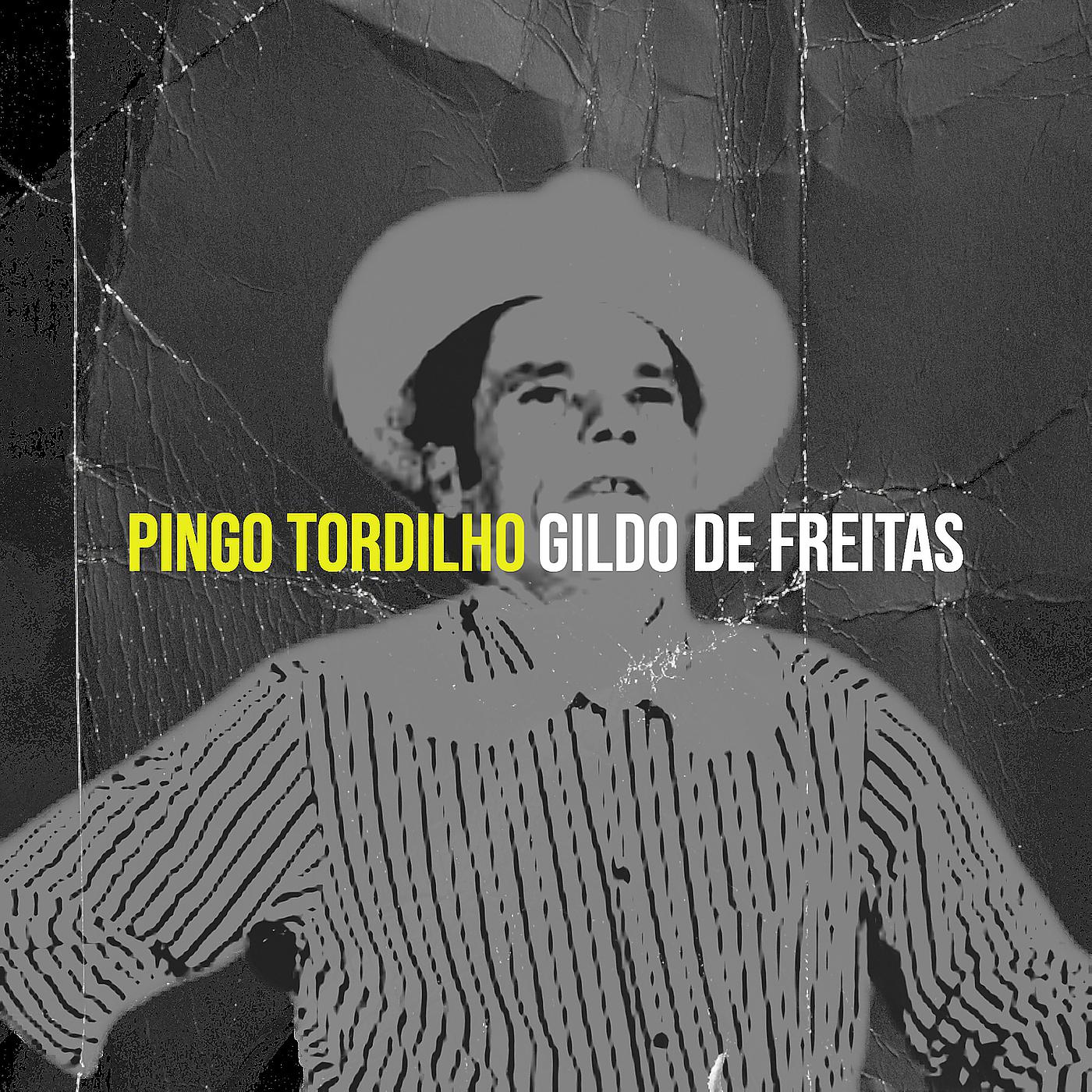 Постер альбома Pingo Tordilho