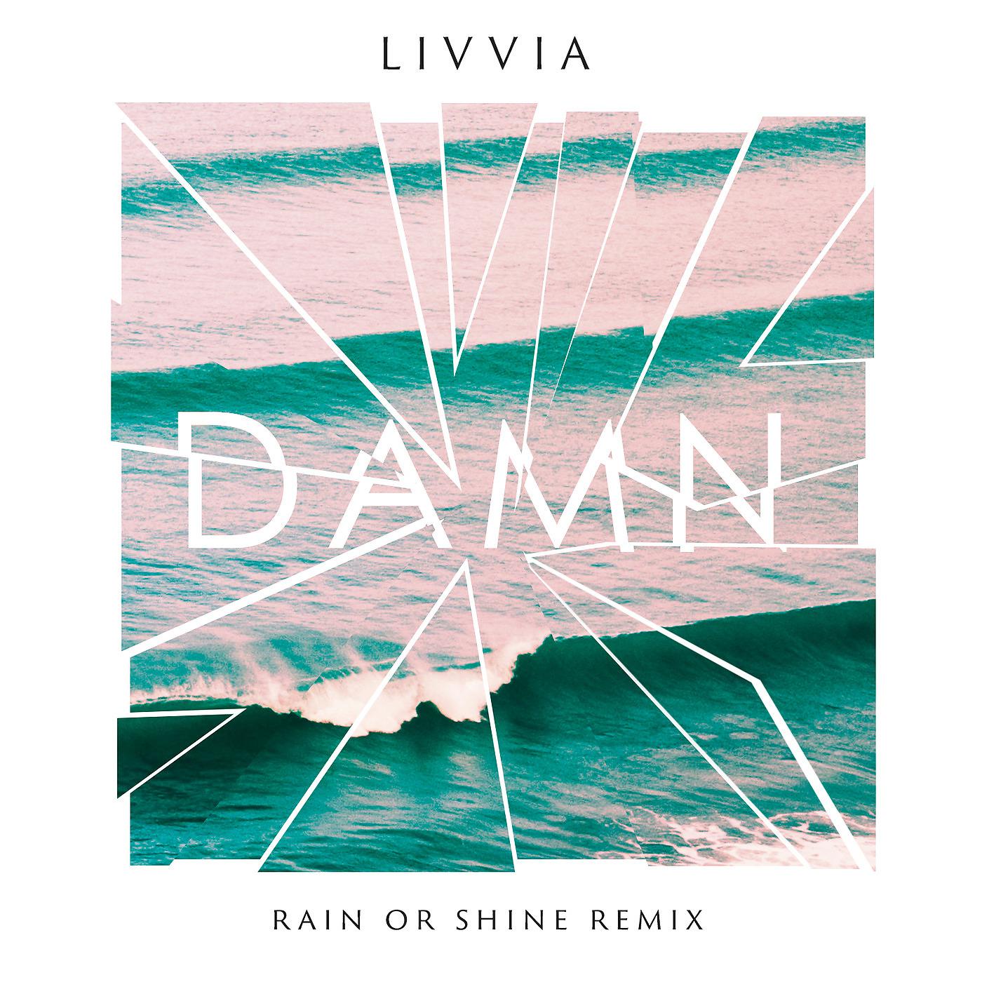 Постер альбома Damn (Rain or Shine Remix)