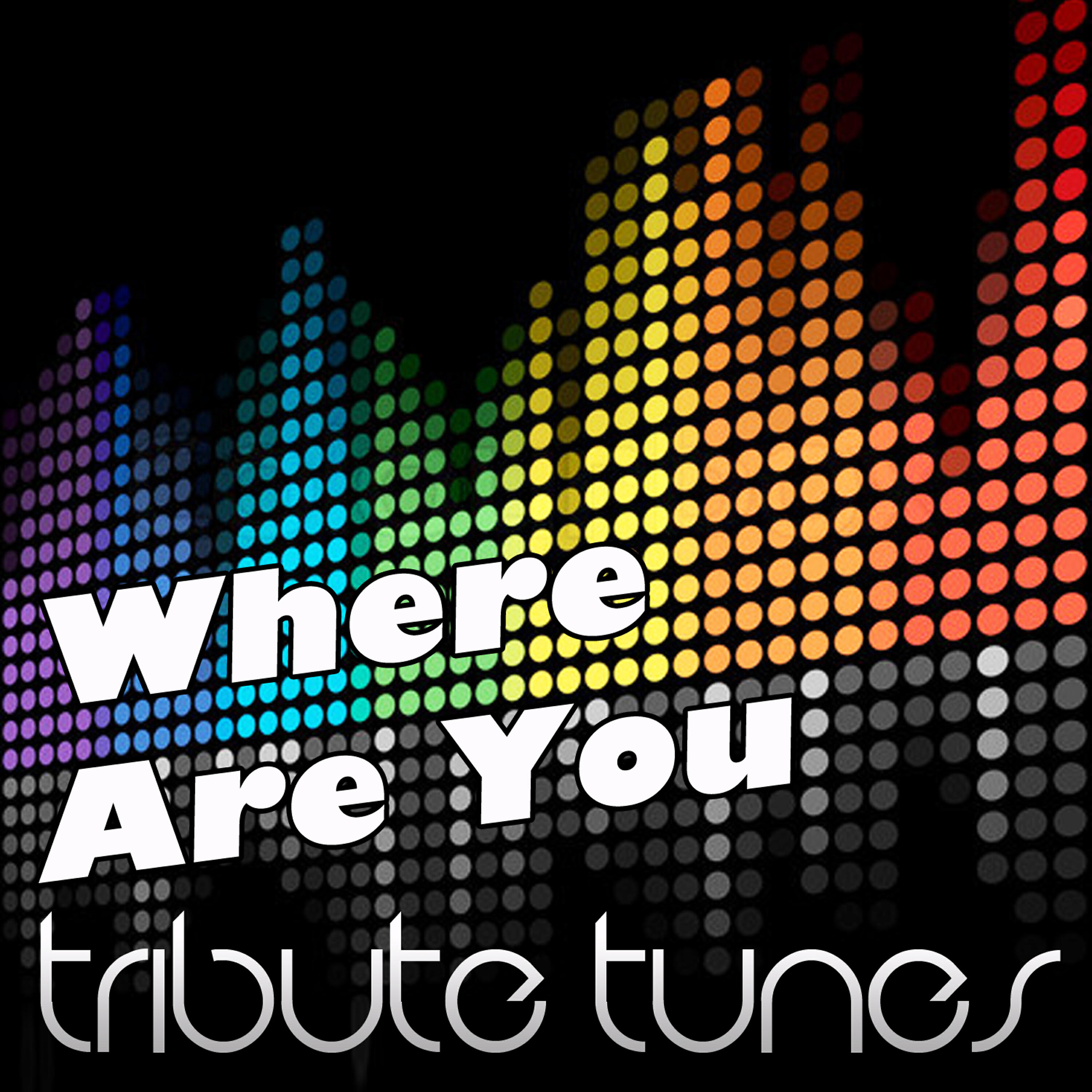 Perfect Pitch - Where Are You (Tribute to B.O.b Vs. Bobby Ray)