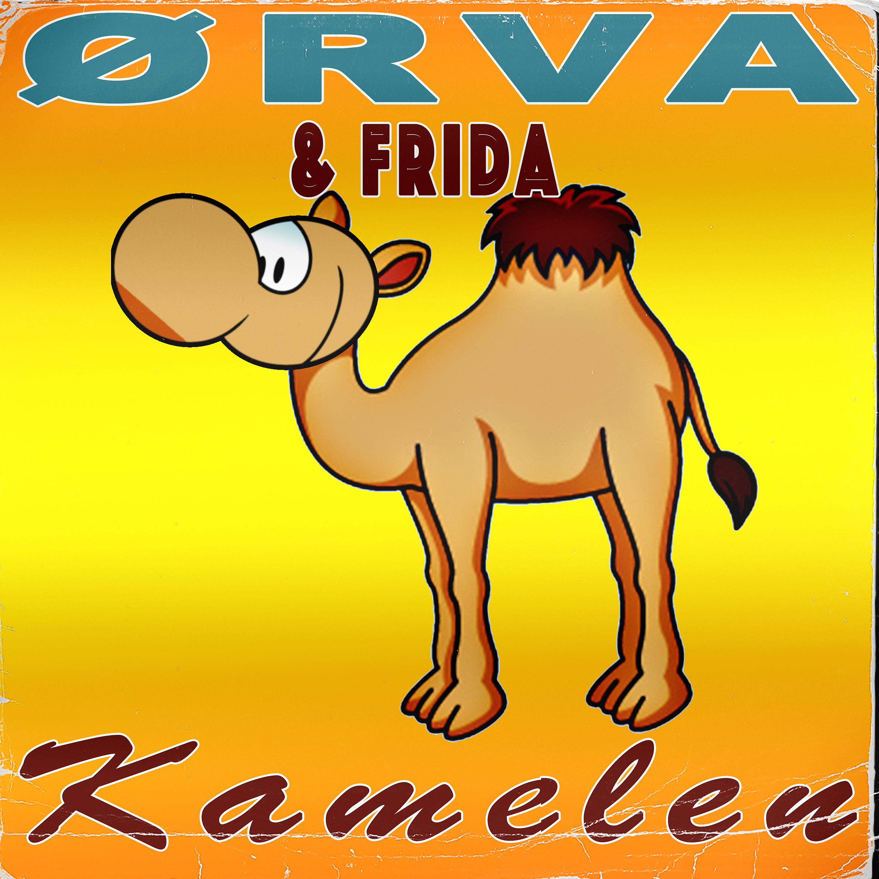 Постер альбома Kamelen