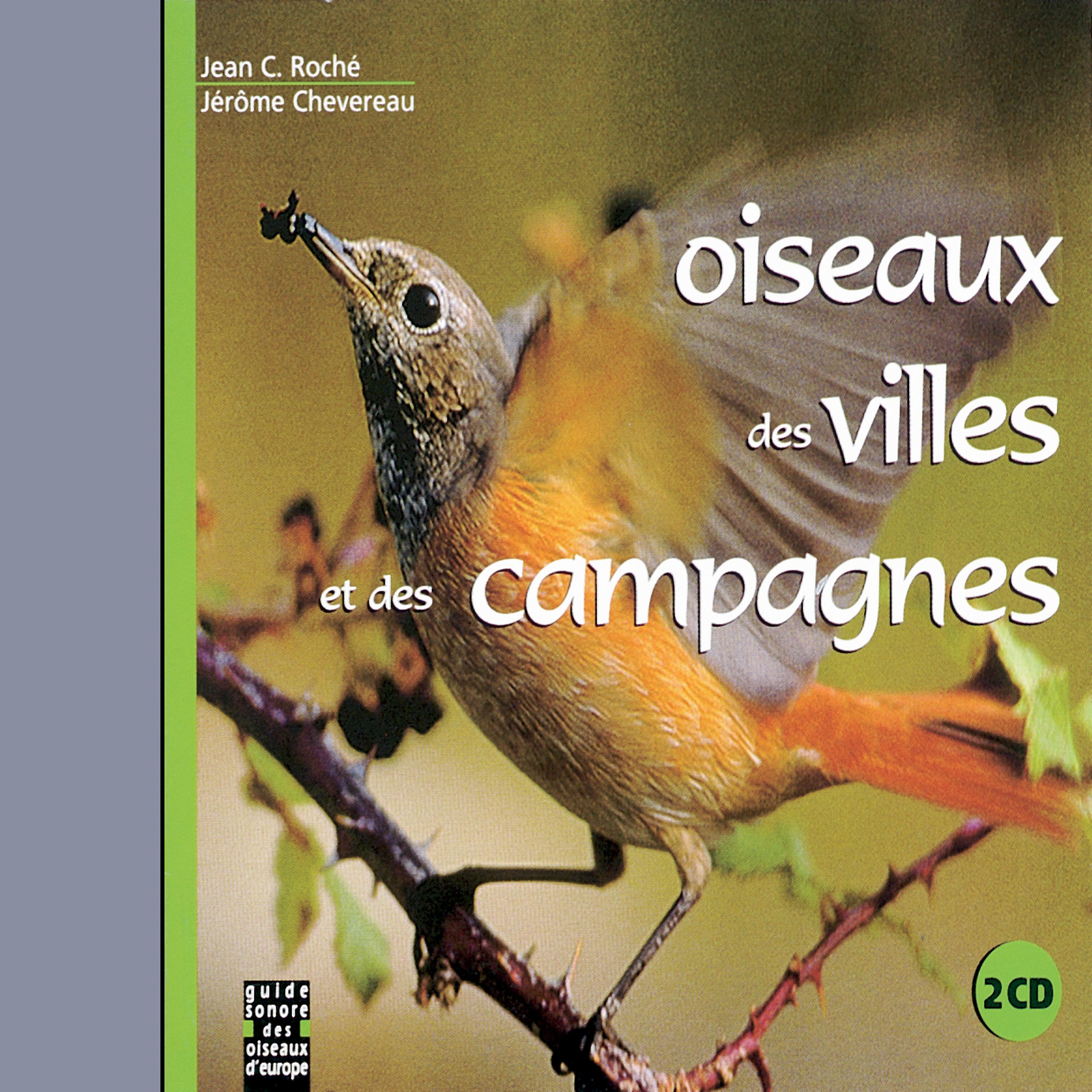 Постер альбома Oiseaux Des Villes Et Des Campagnes