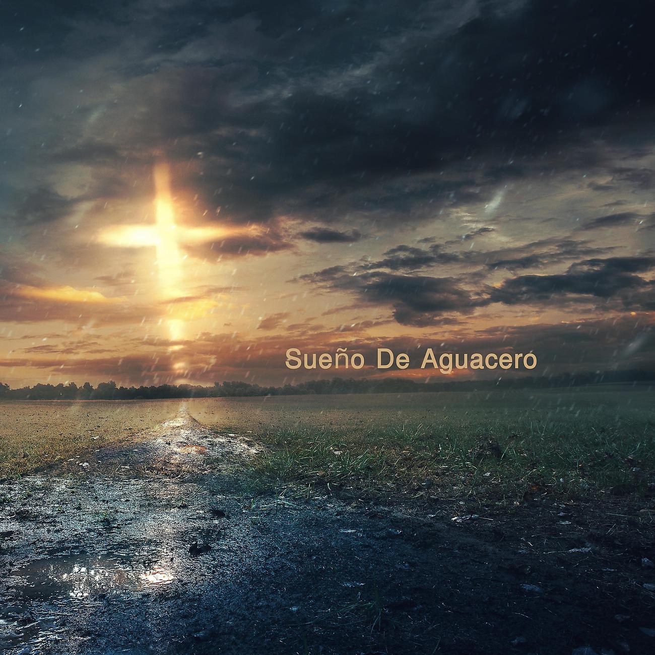 Постер альбома Sueño De Aguacero