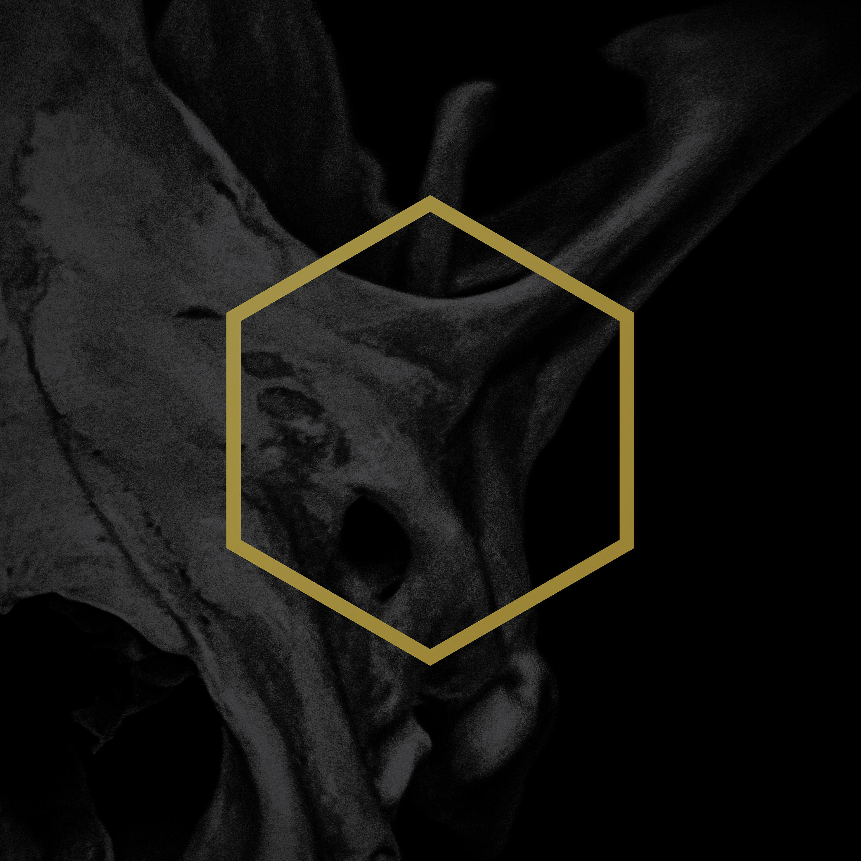Lustmord - Ashen