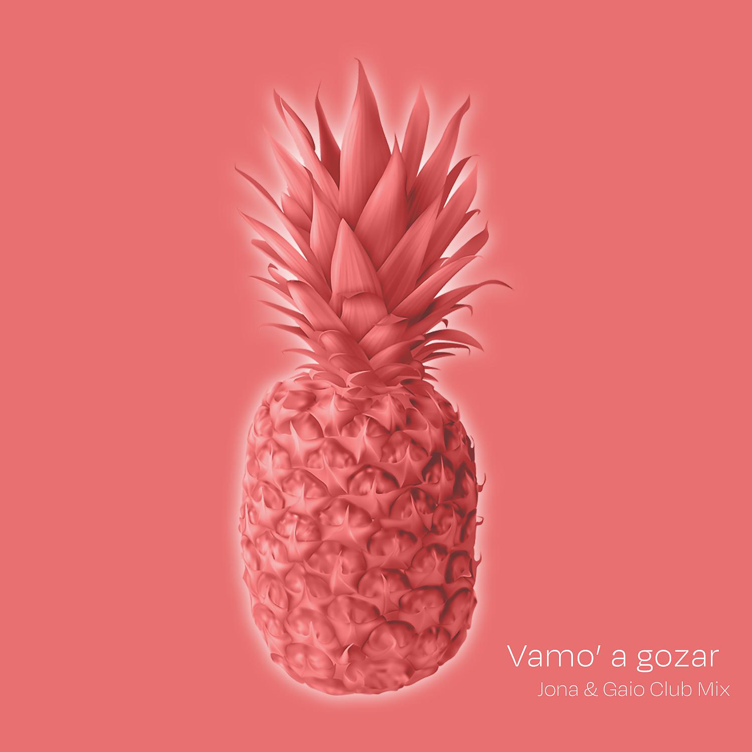 Постер альбома Vamo' a Gozar (Jona & Gaio Club mix)
