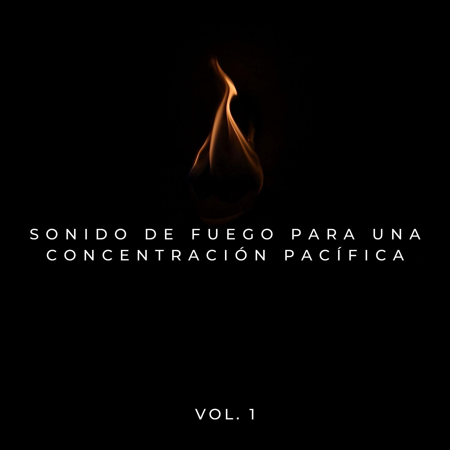 Постер альбома Sonido De Fuego Para Una Concentración Pacífica Vol. 1