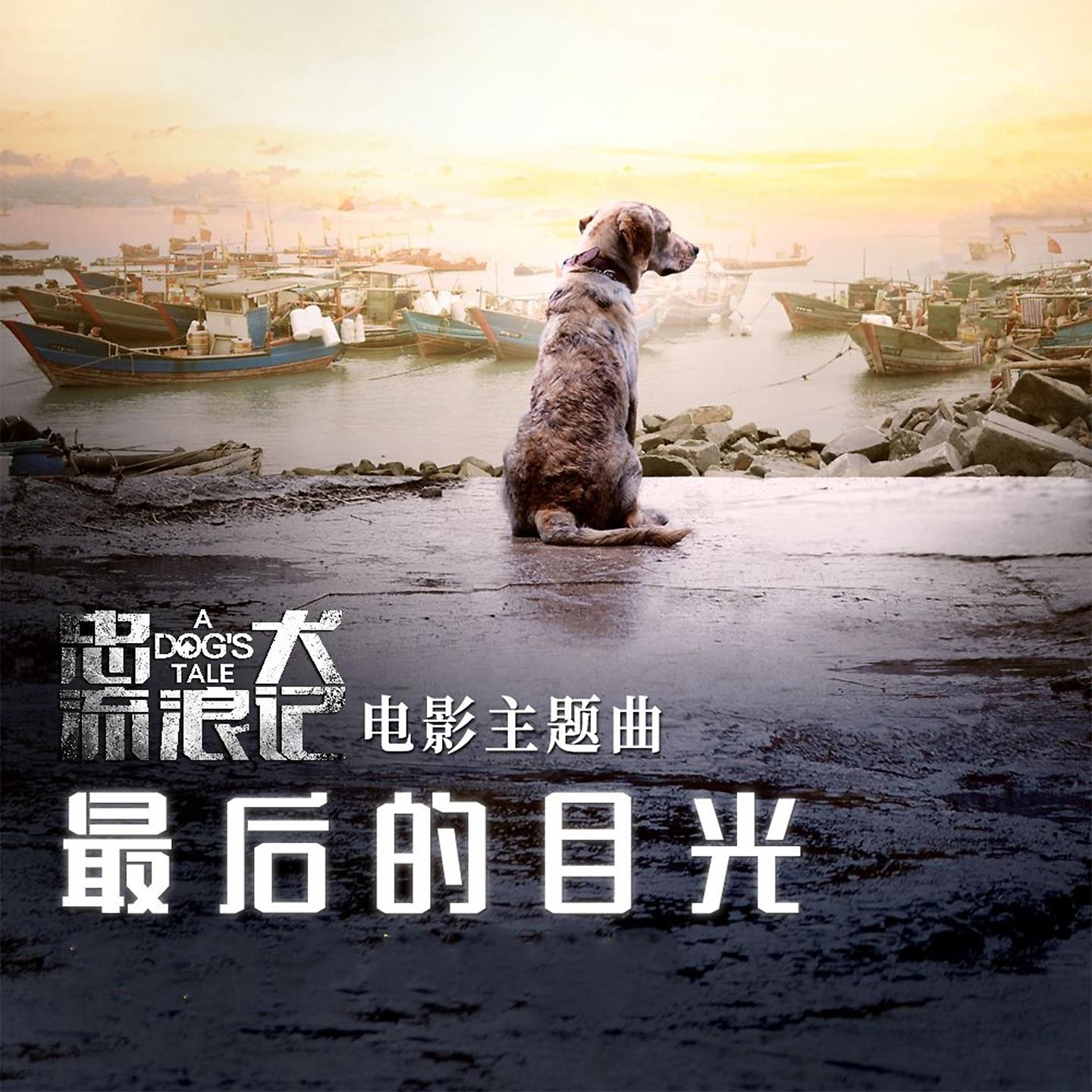 Постер альбома 《忠犬流浪记》电影主题曲