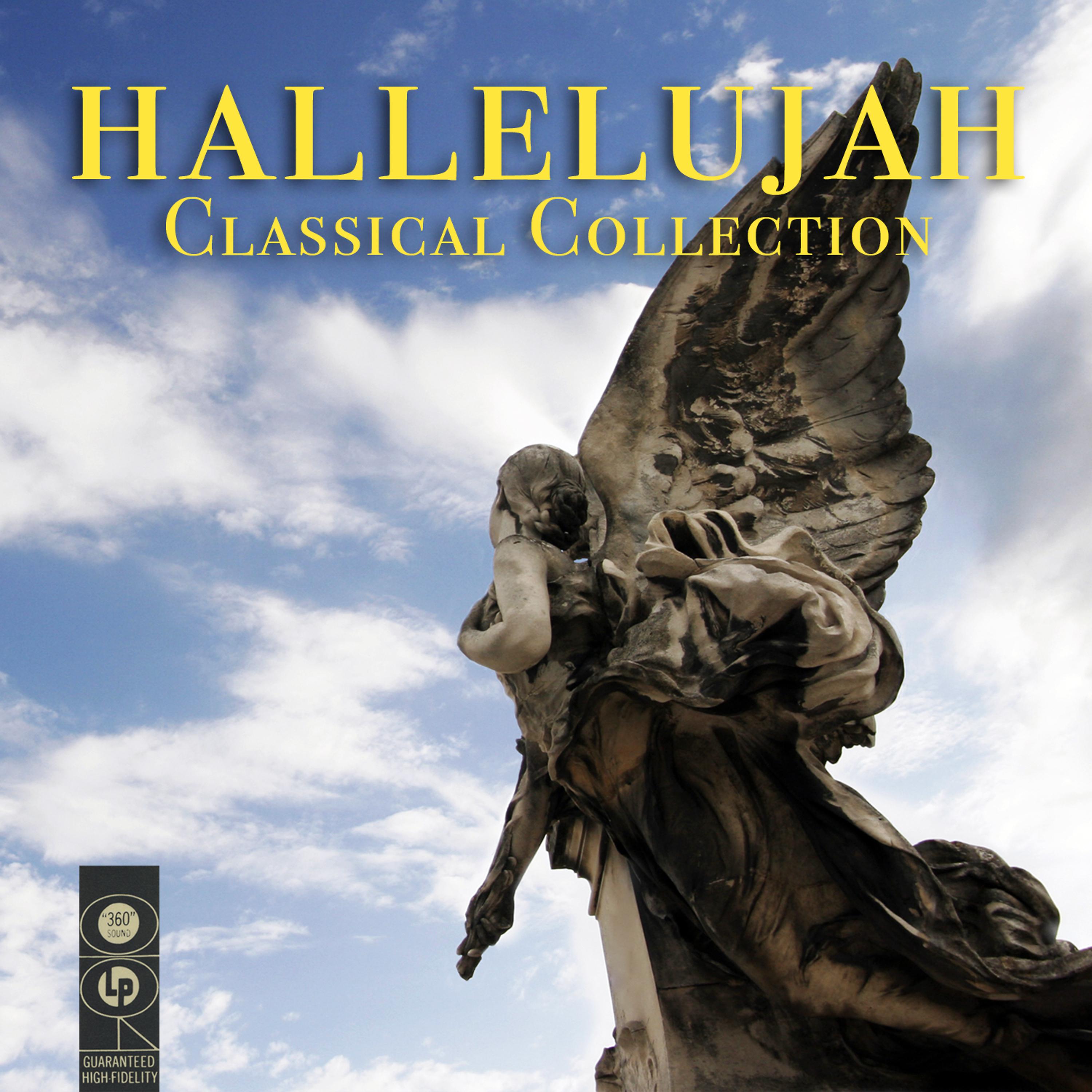 Постер альбома Hallelujah Classical Collection