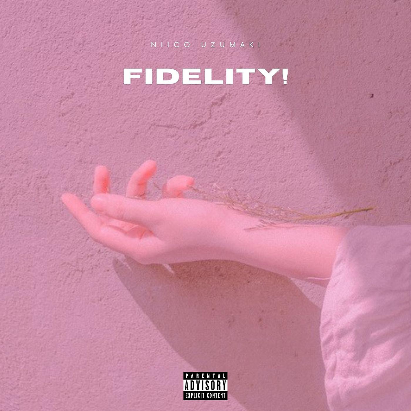Постер альбома Fidelity!