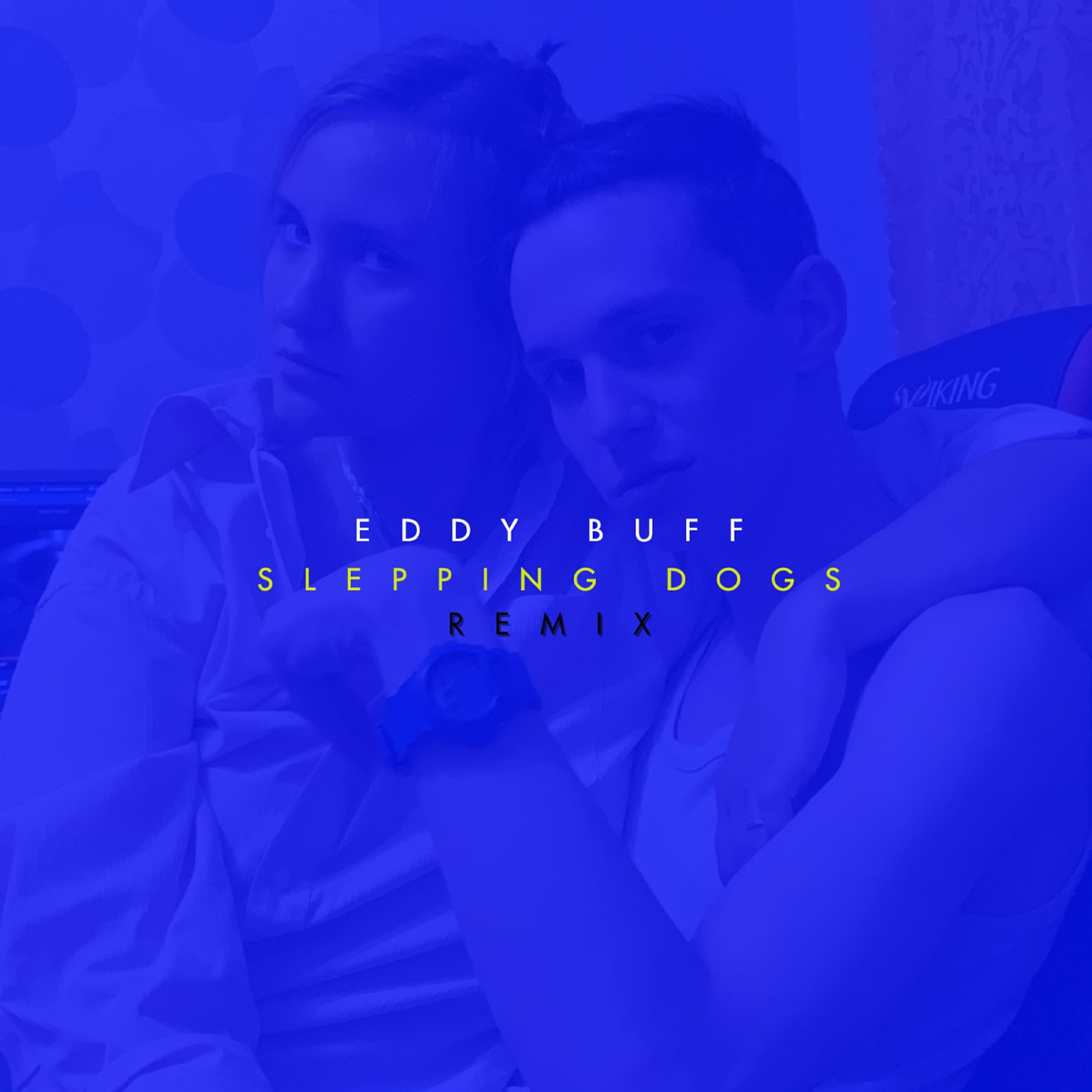 Eddy Buff - Sleeping Dogs (Remix)