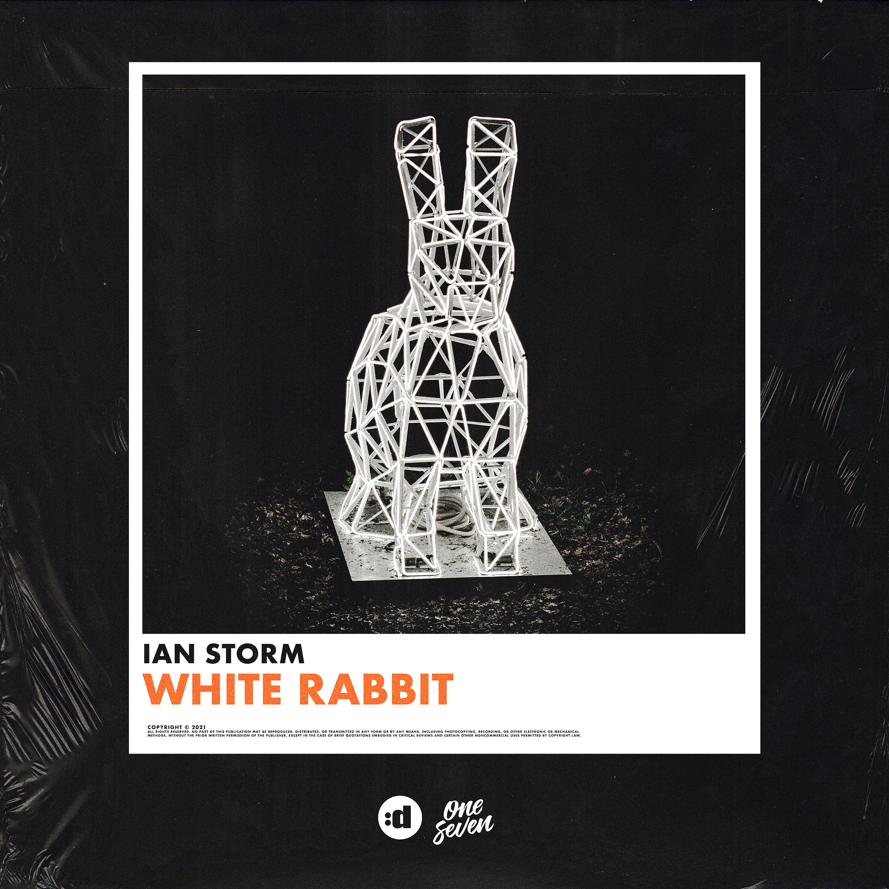 Постер альбома White Rabbit