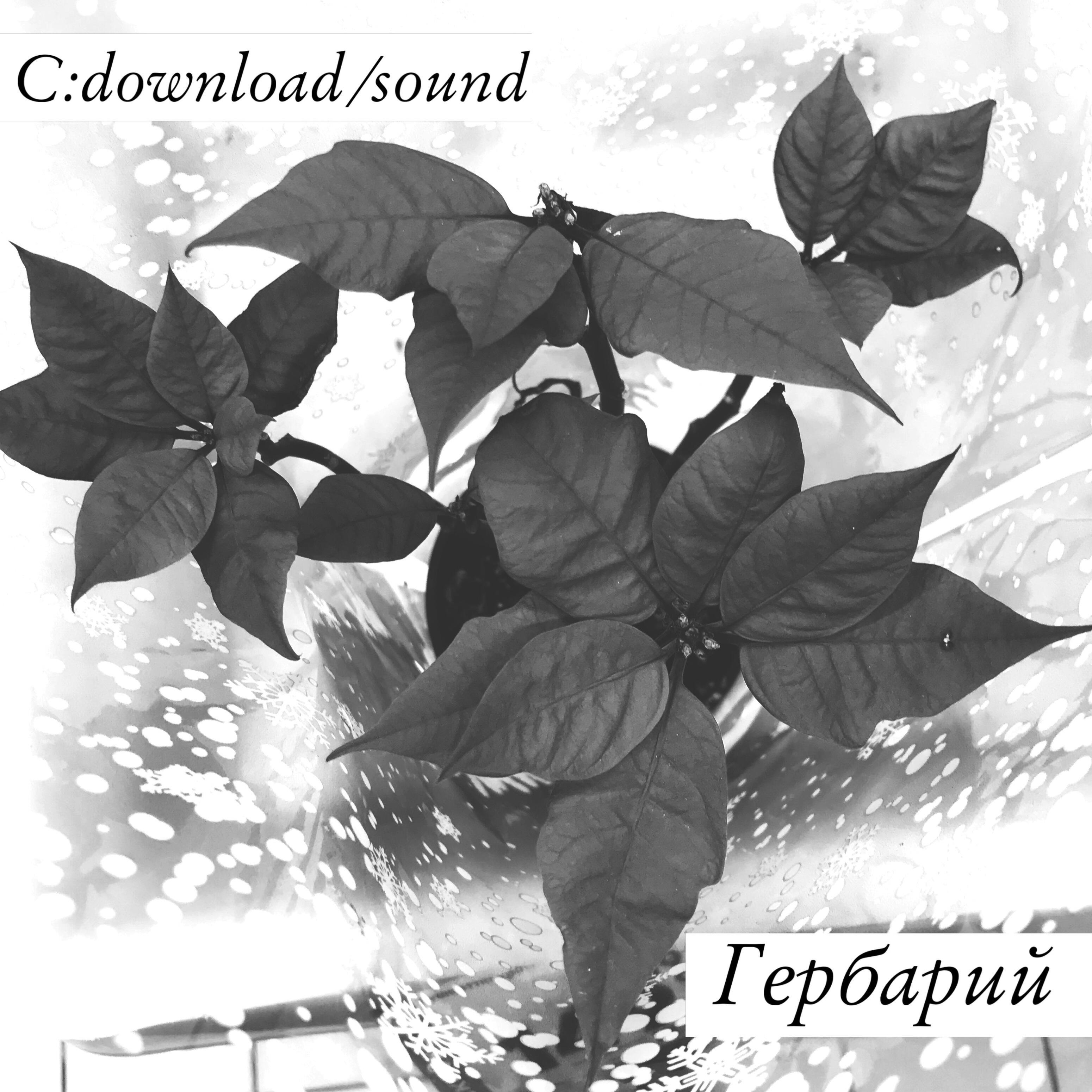 C:Download все песни в mp3