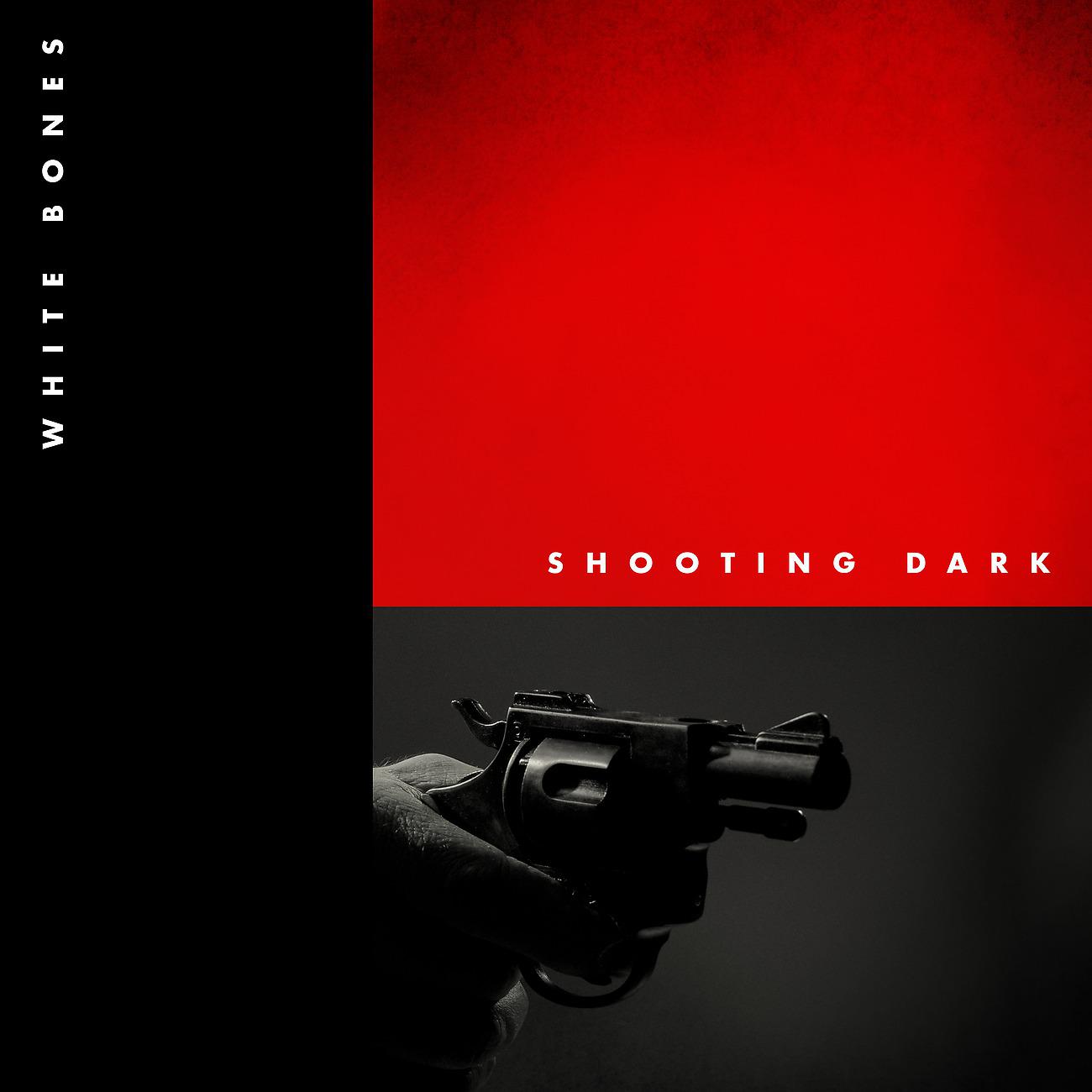 Постер альбома Shooting Dark