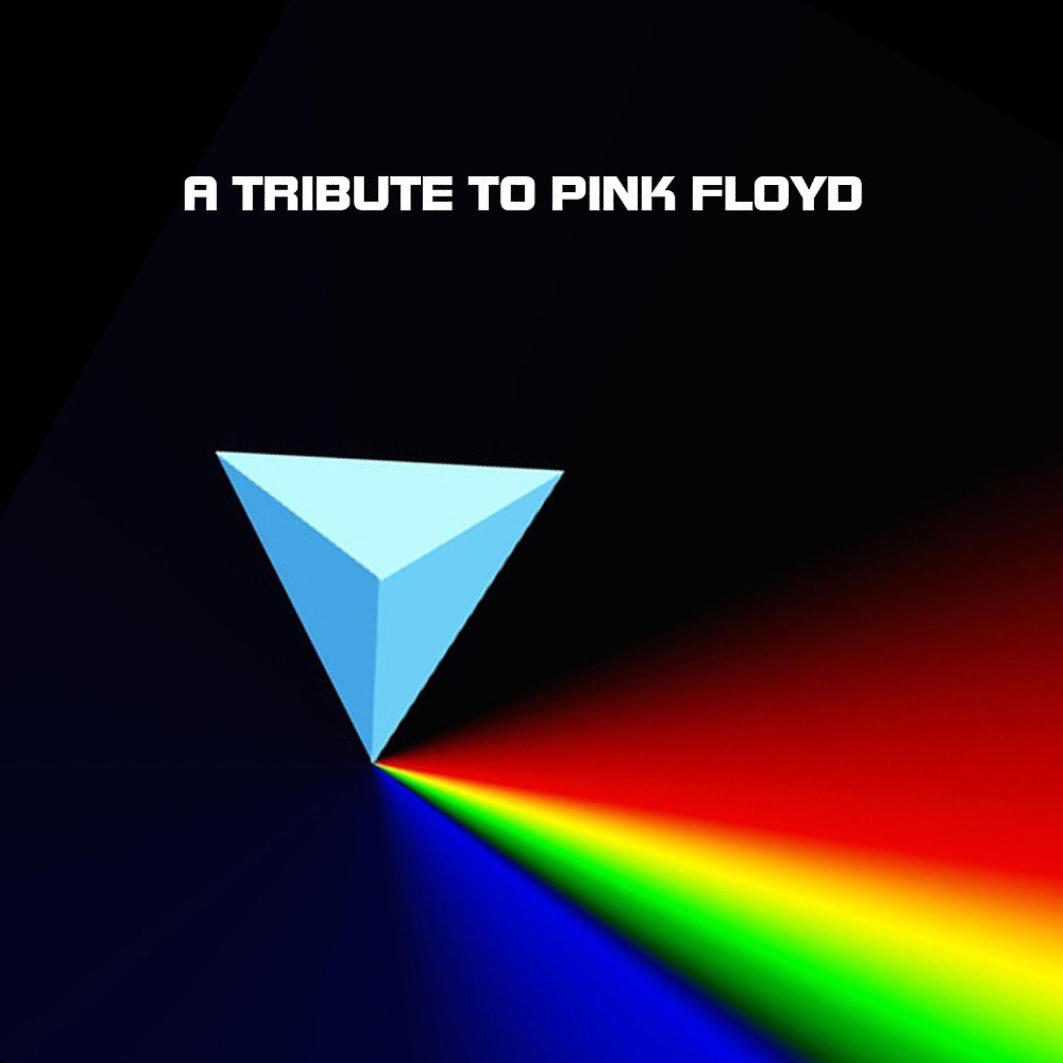 Постер альбома A Tribute To Pink Floyd- Darker Than the Moon